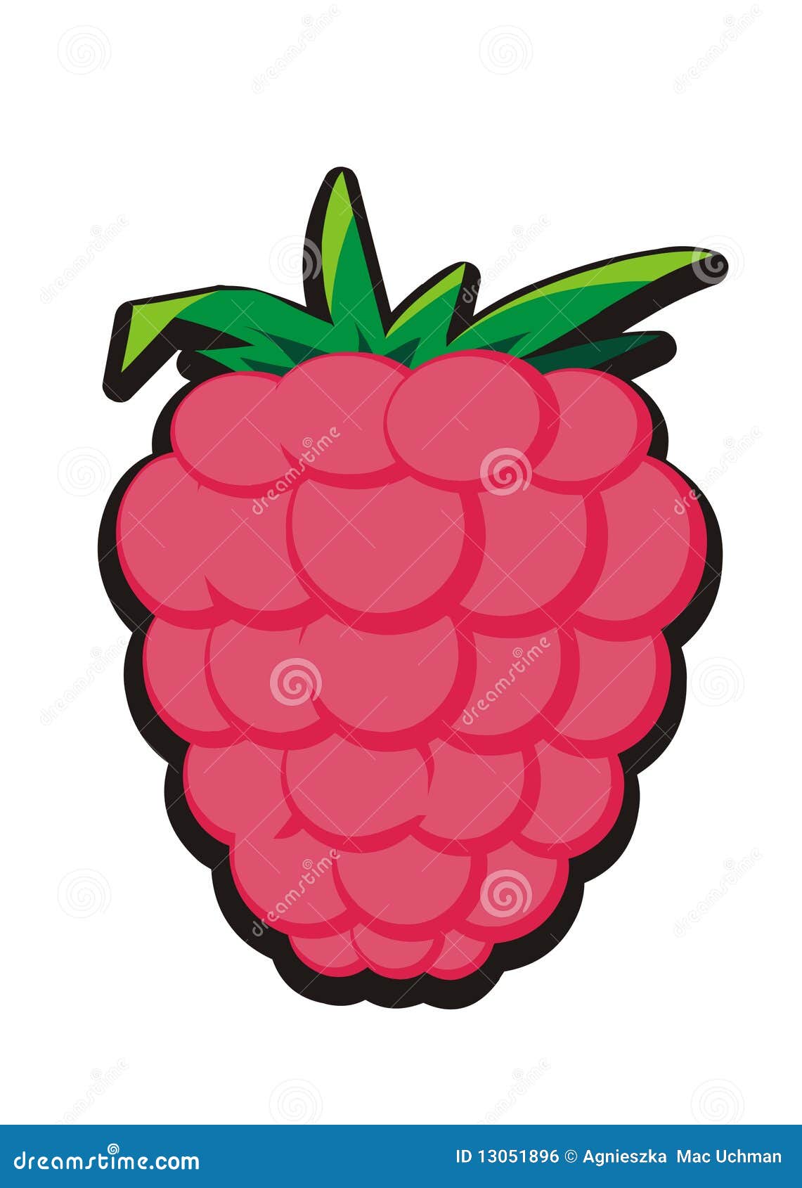 Raspberry stock illustration. Illustration of cartoons - 13051896