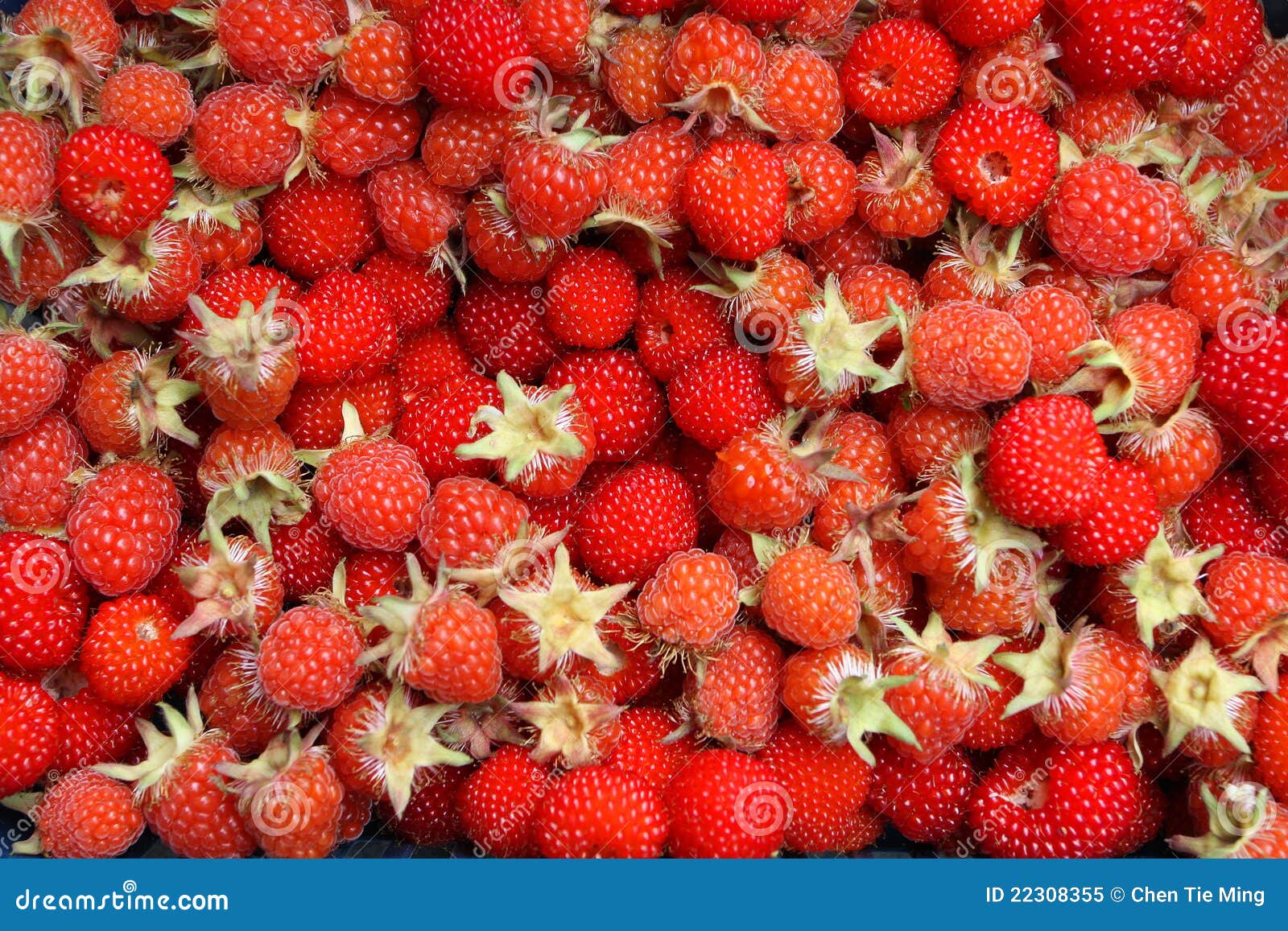 Raspberry stock image. Image of plants, medicine, delicious 22308355