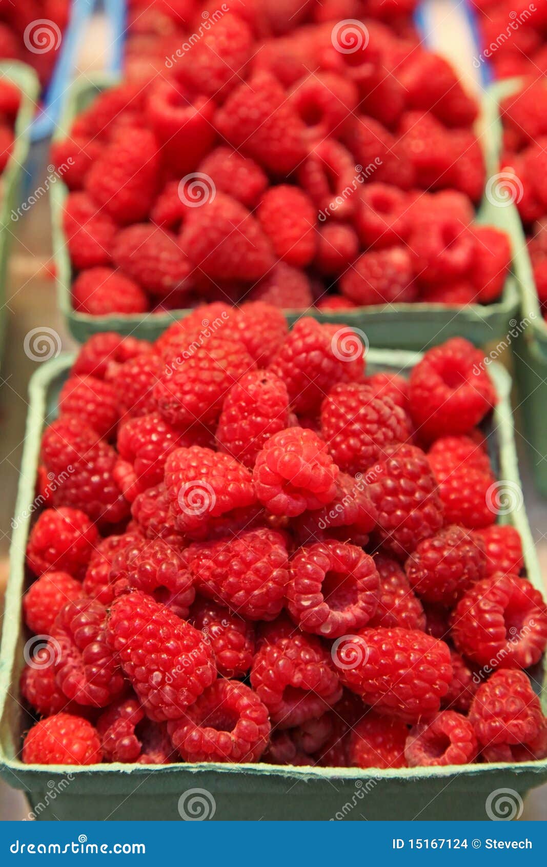 Raspberry Baskets at a Market Stock Photo Image of green, horizontal