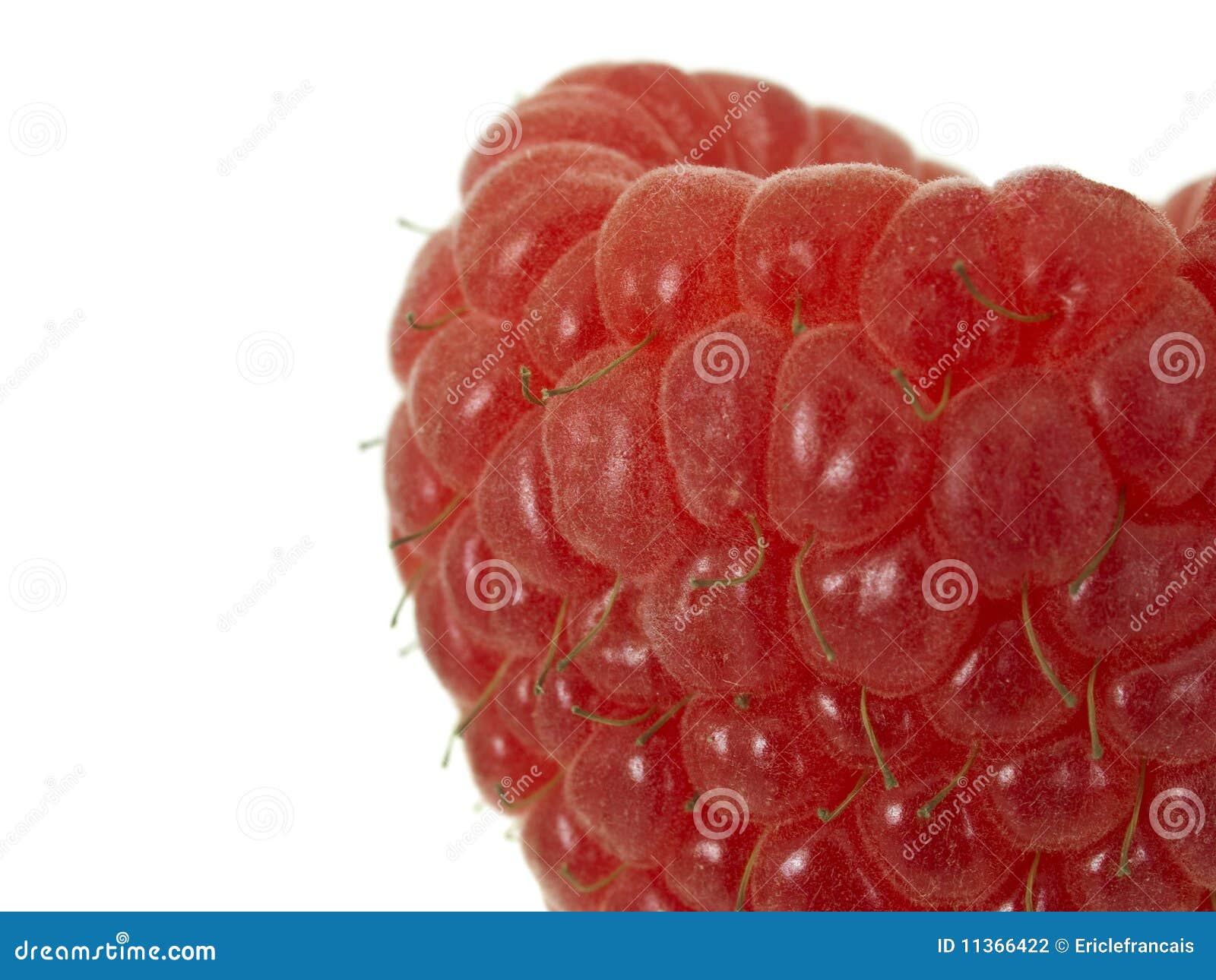 Raspberry extreme macro stock photo. Image of isolated 11366422