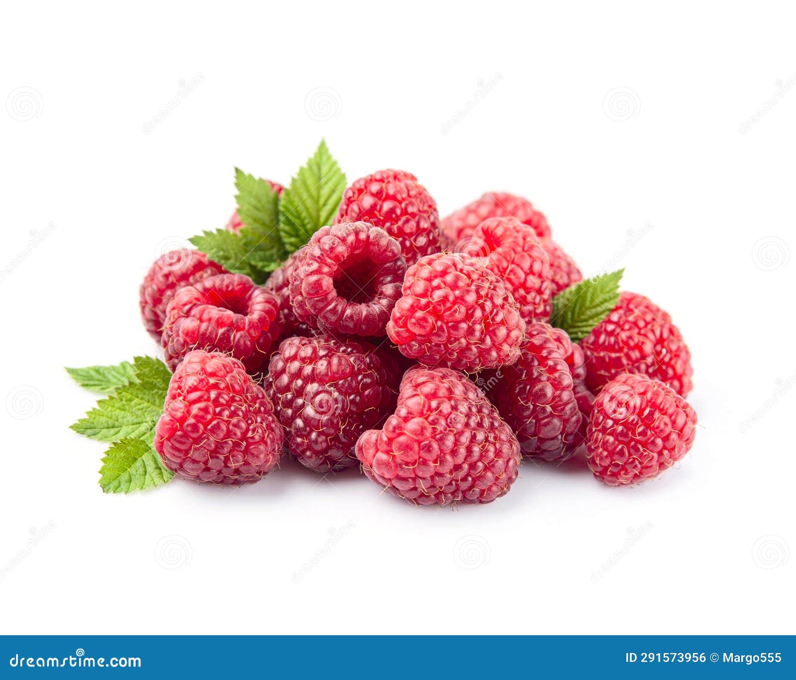 Raspberry with leaves stock photo. Image of backgrounds - 291573956