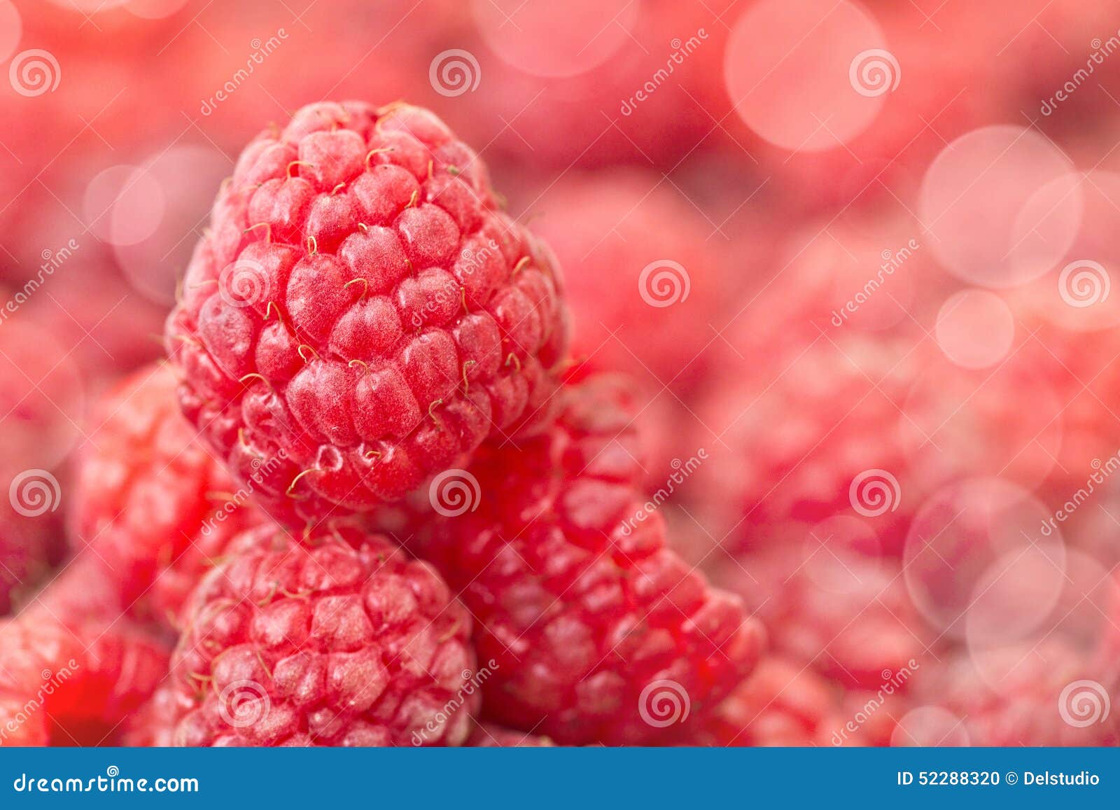 Raspberry, macro stock photo. Image of closeup, close 52288320