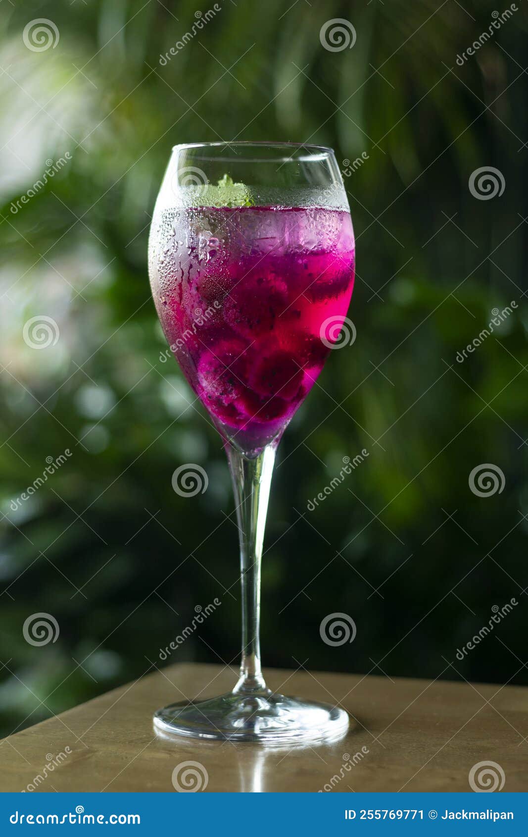 Raspberry and Red Dragon Fruit Wine Spritzer Cocktail Stock Image