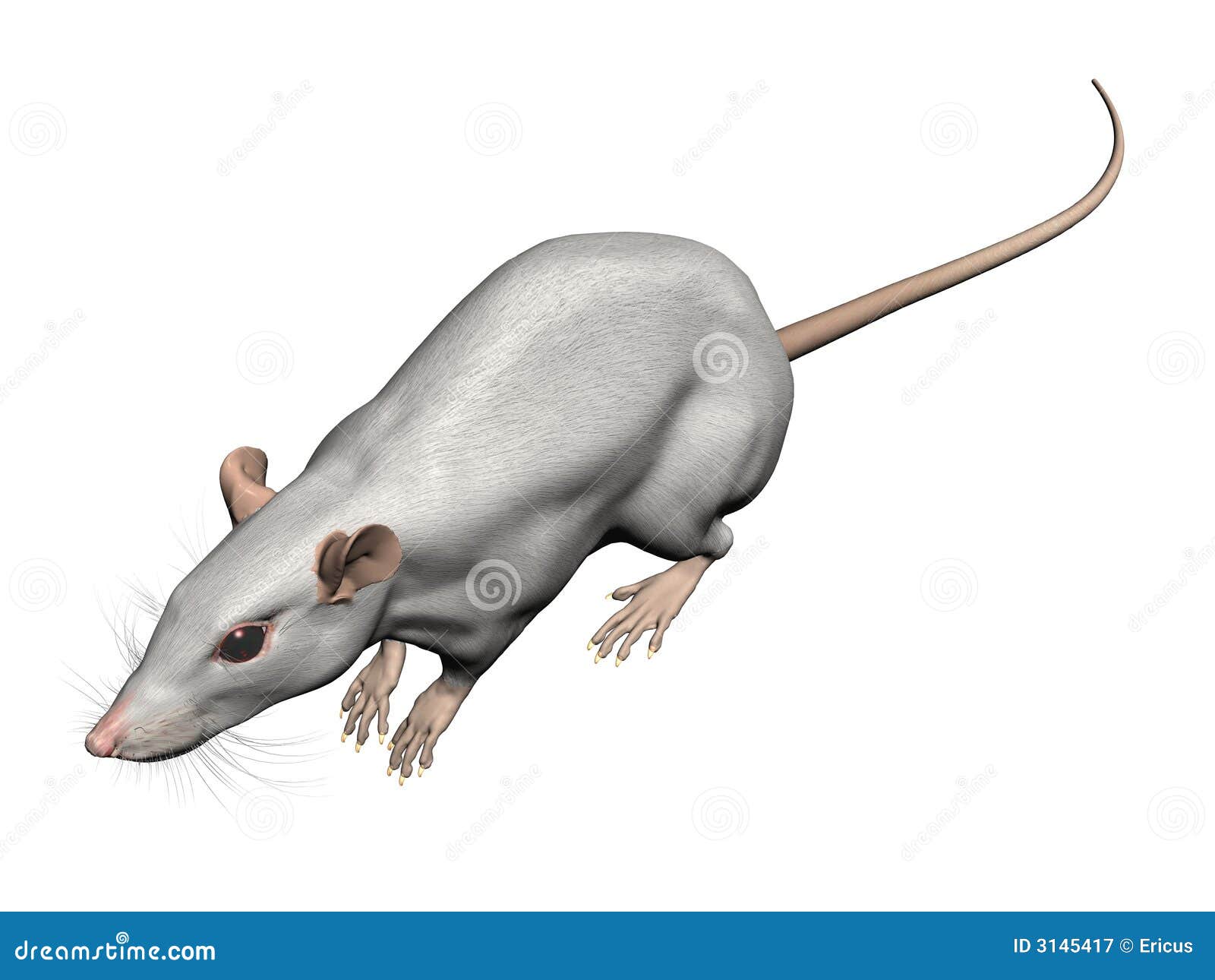 245,807 Rat Images, Stock Photos, 3D objects, & Vectors