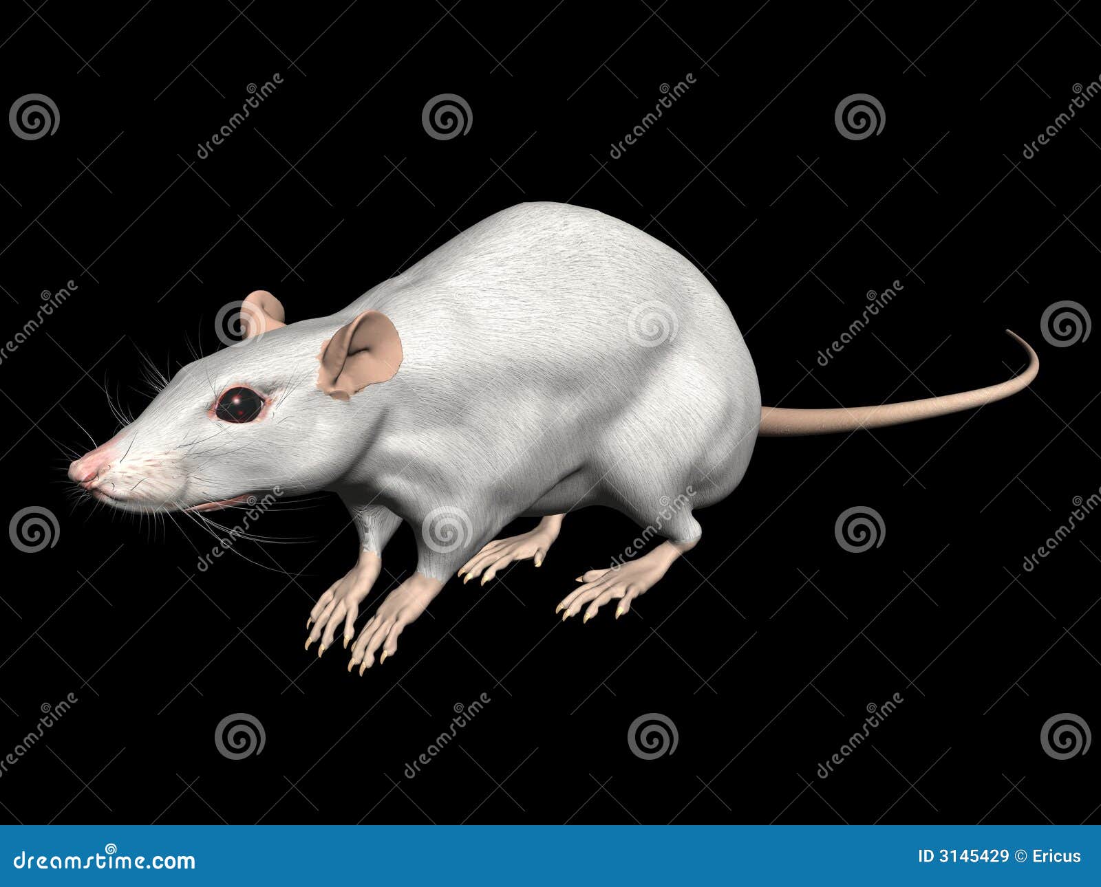 245,807 Rat Images, Stock Photos, 3D objects, & Vectors