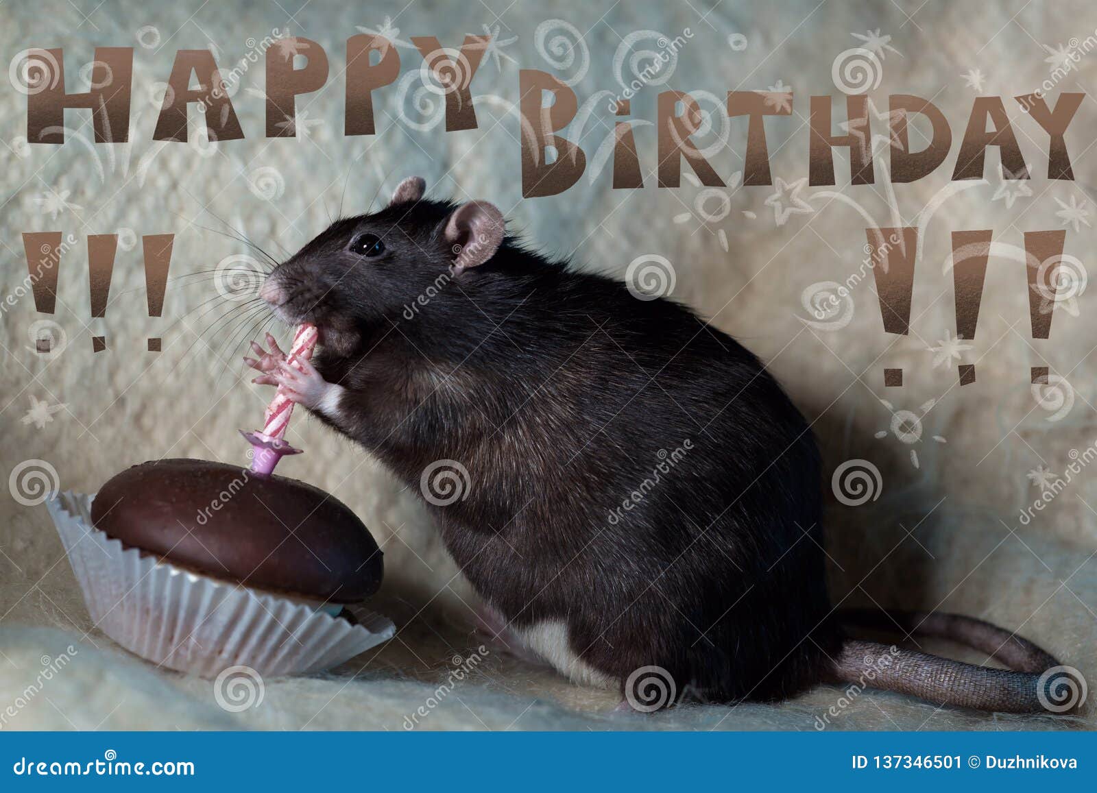 The Rat Celebrates His Birthday And Eats A Cake Stock Image Image of
