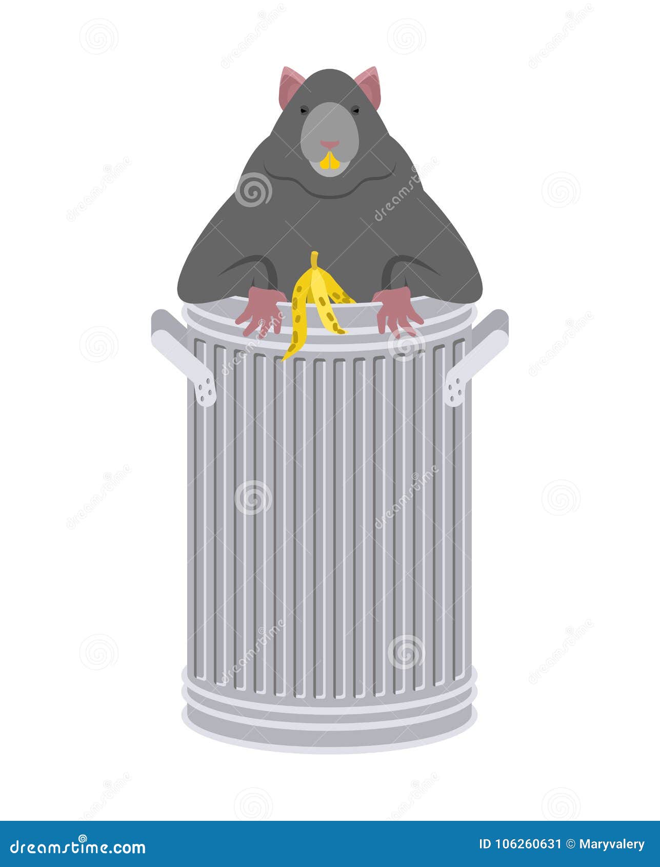 Rat in Garbage Can. Rodent in Trash. Big Mouse in Dumpster Stock Vector