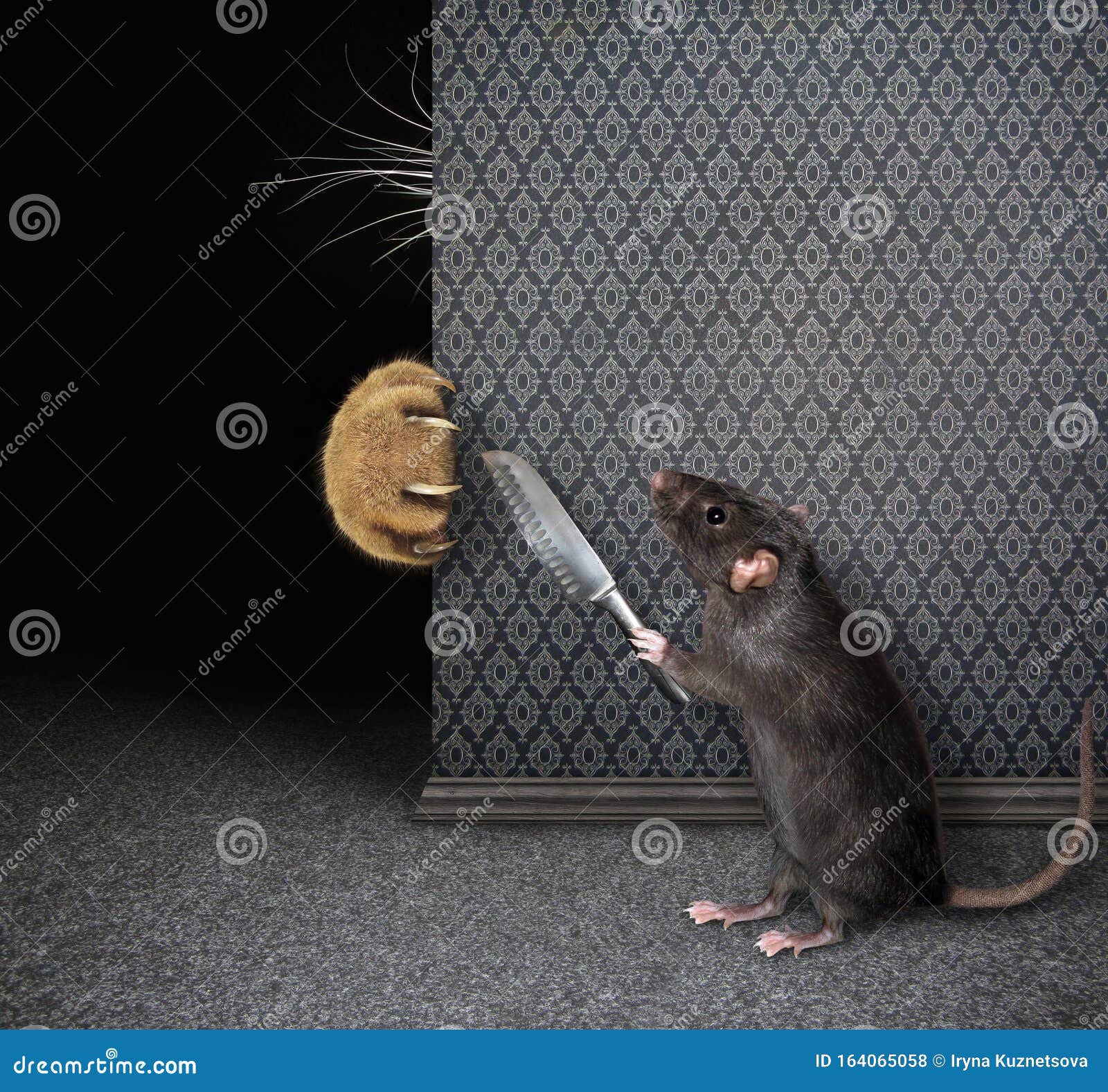 Rat with Knife Hides from Cat 2 Stock Photo - Image of game, funny:  164065058