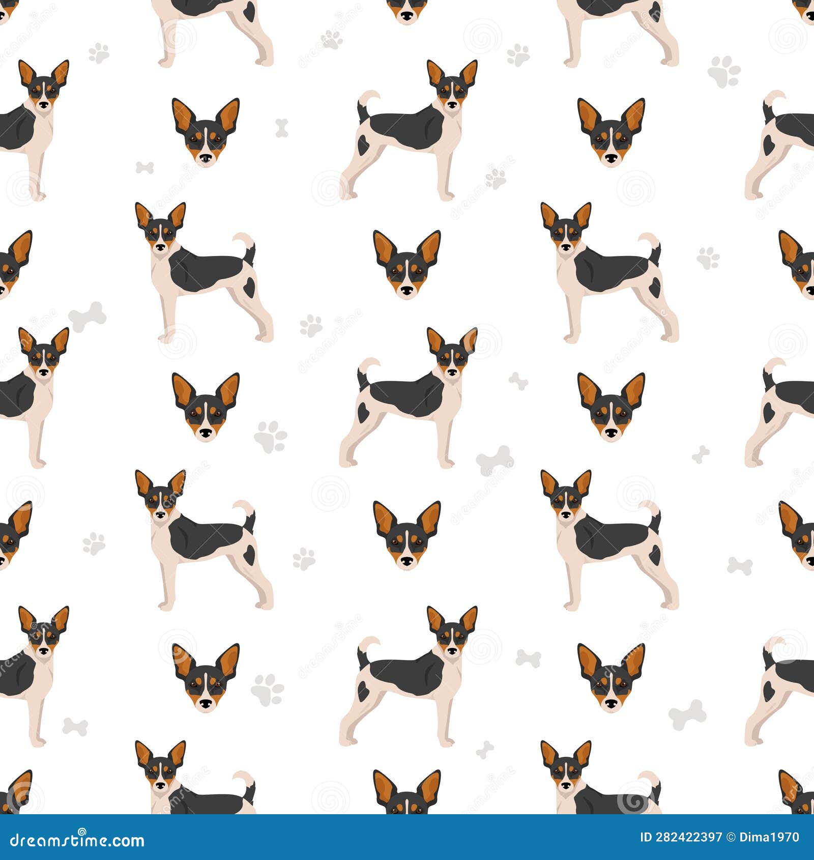 Rat Terrier Seamless Pattern. Different Poses, Coat Colors Set Stock