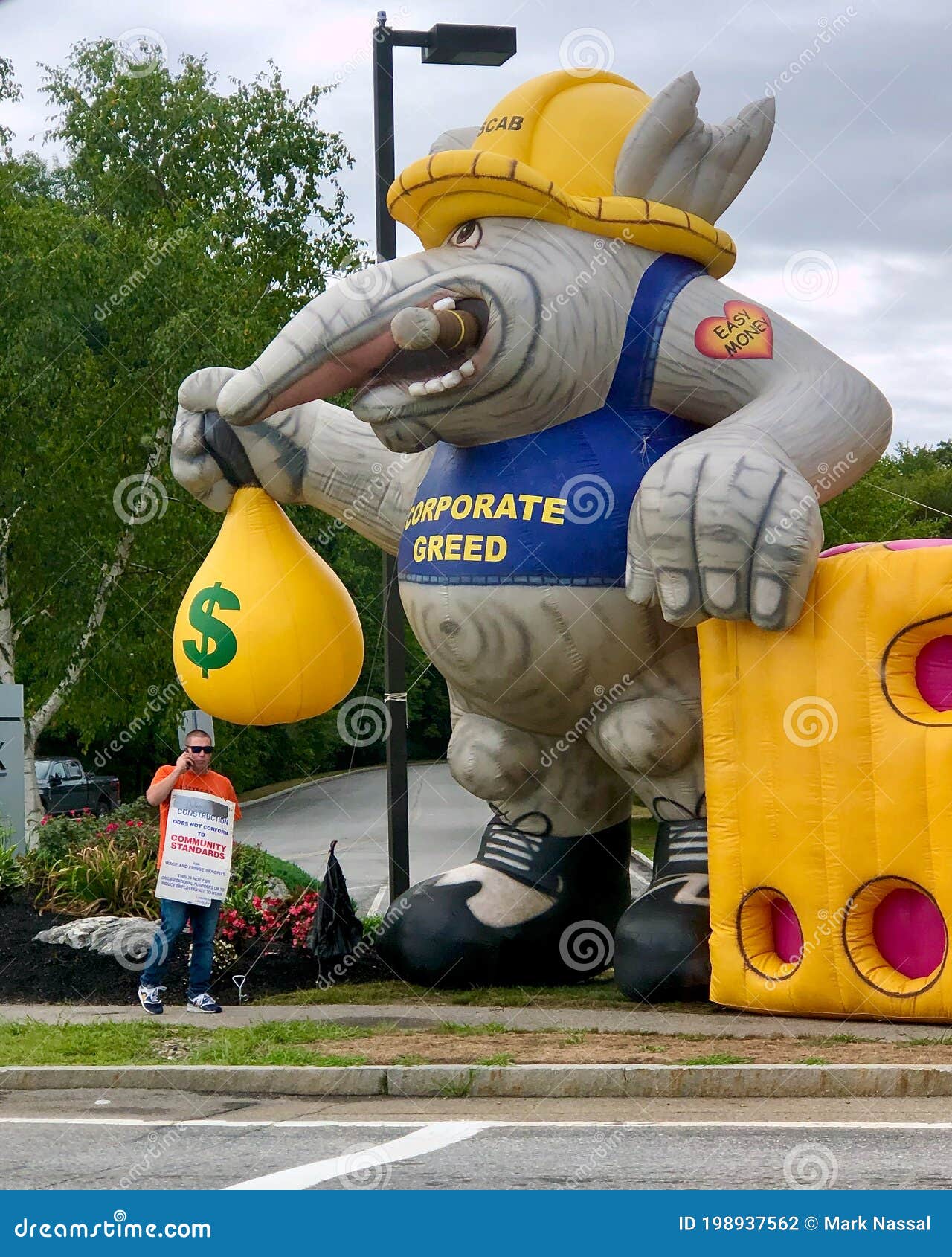 rato gigante na rua