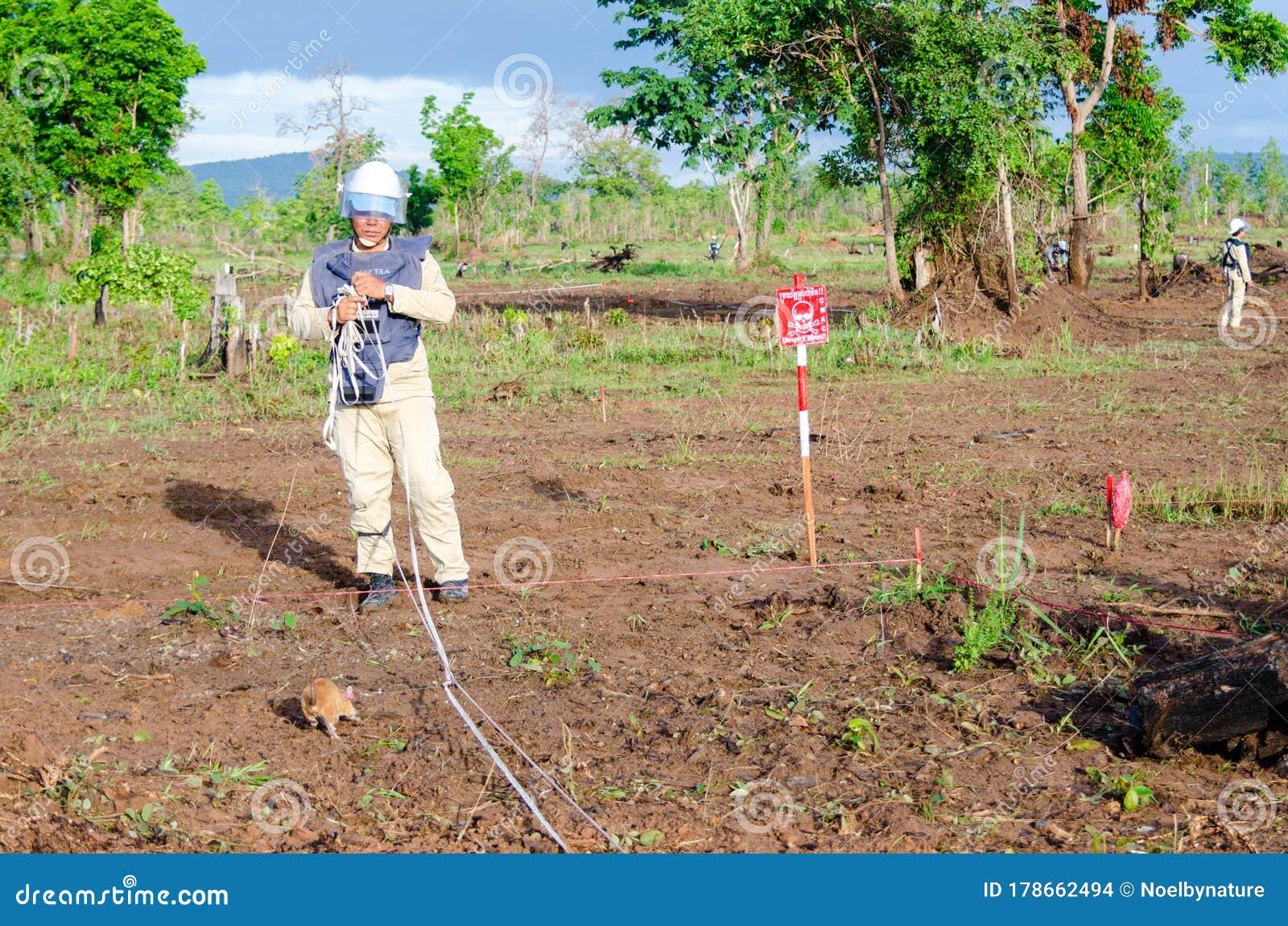 Pets4Company  Rato gigante africano condecorado por detetar minas  terrestres no Camboja.