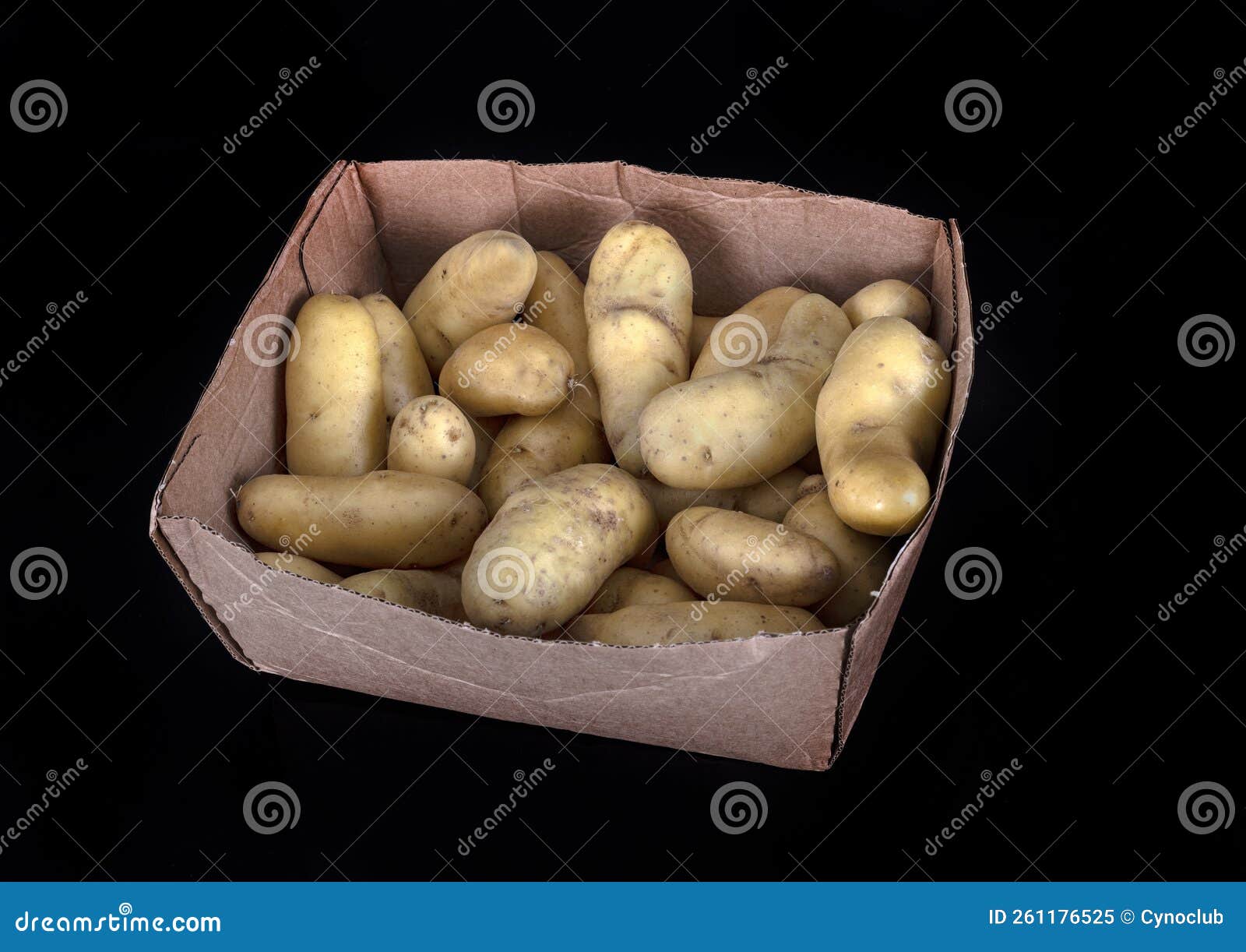 Ratte potato in studio stock image. Image of 261176525