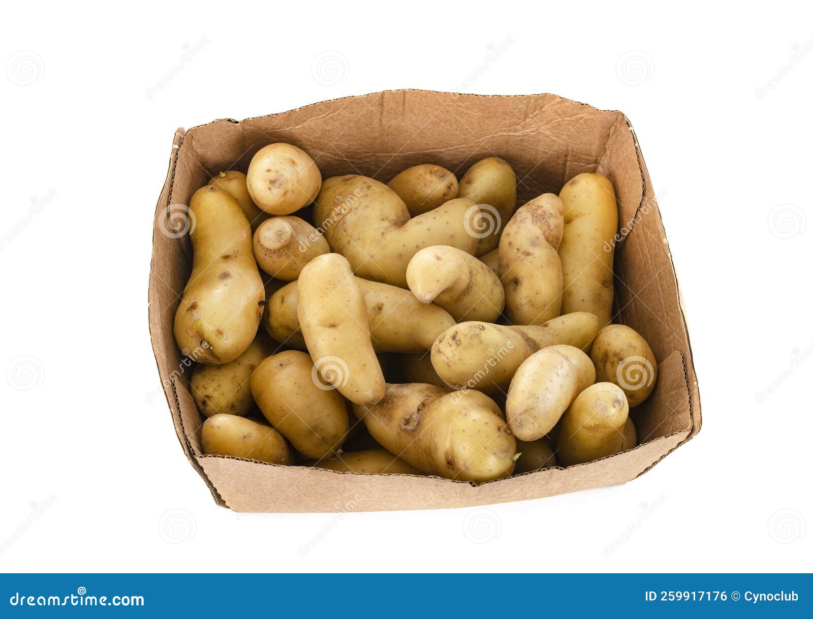 Ratte potato in studio stock photo. Image of asparges 259917176