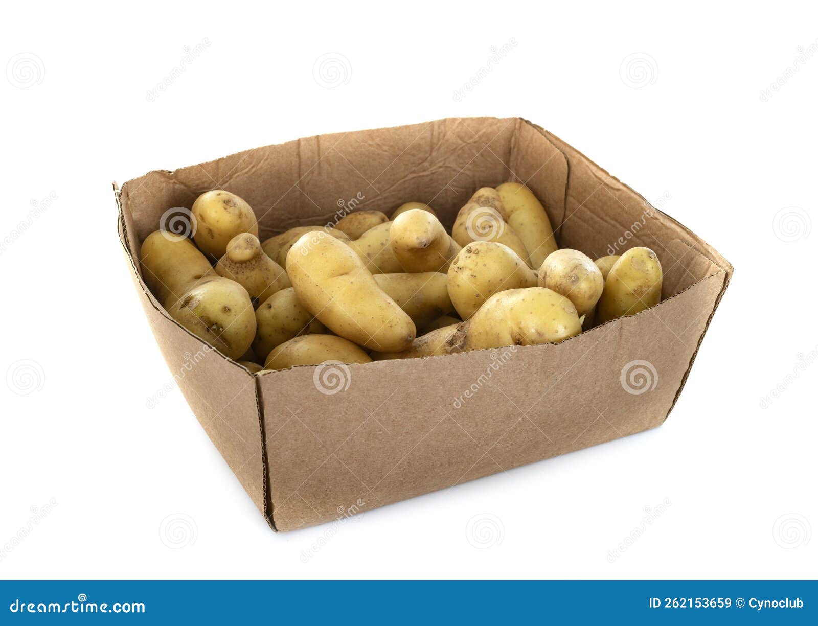 Ratte potato in studio stock image. Image of asparges 262153659