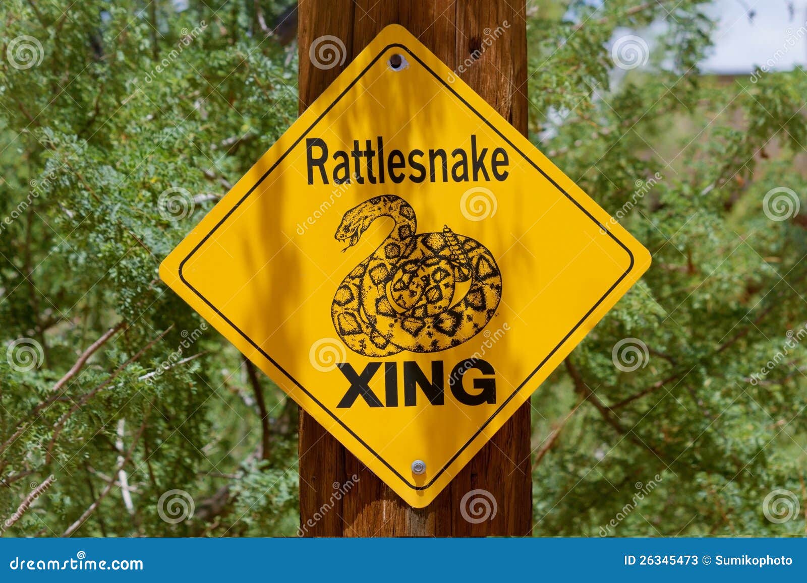 Rattlesnake Sign stock image. Image of wildlife, yellow - 26345473