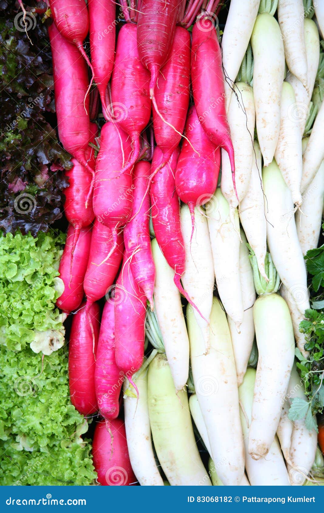 Ravanello Cinese: Il Daikon! Una Radice Dall'oriente - Foto 10