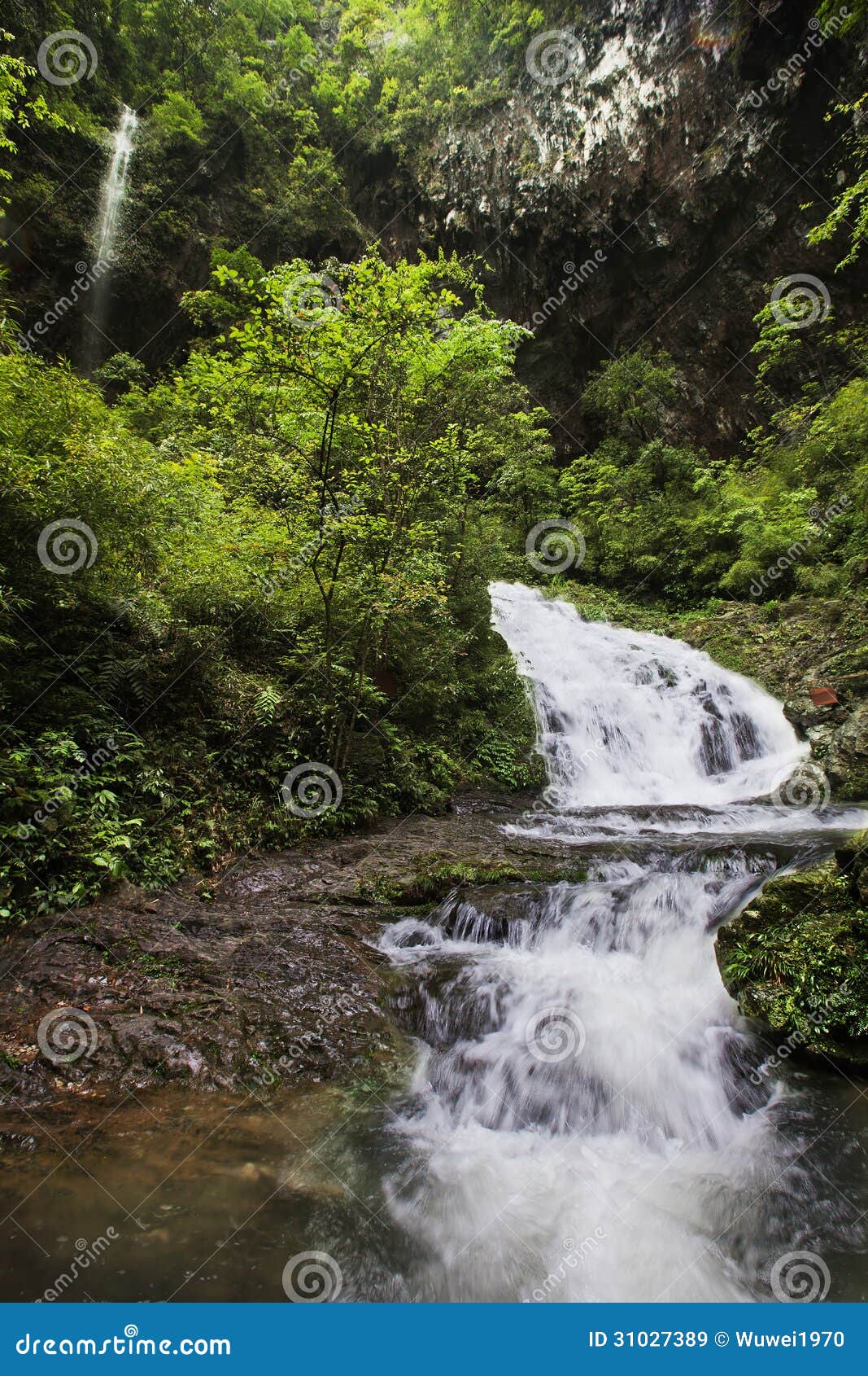 ravine stream in the black mountain valley