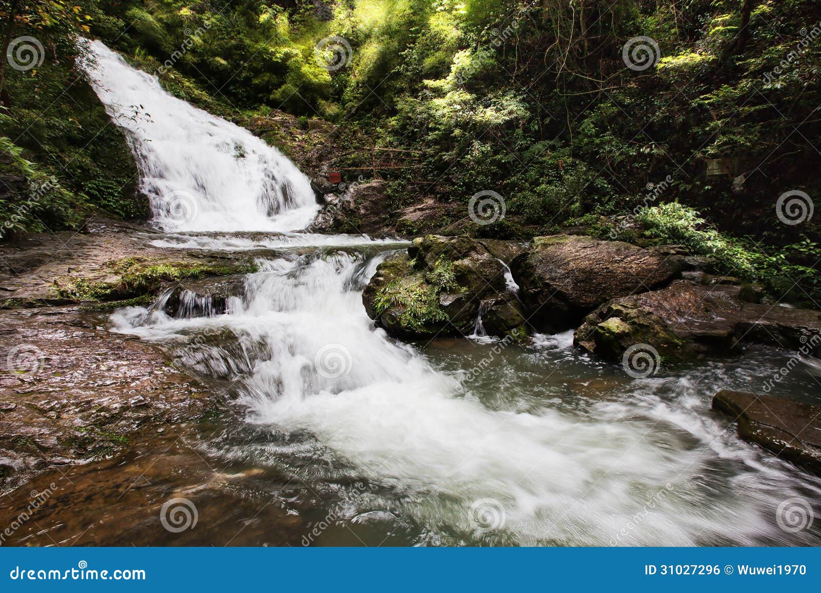 ravine stream in the black mountain valley