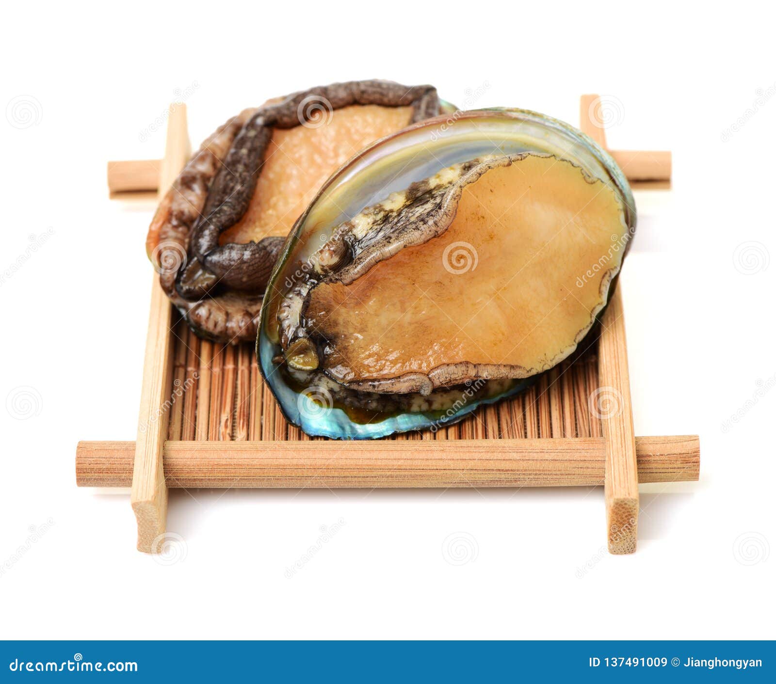 Raw abalone stock image. Image of isolated, food, back 137491009