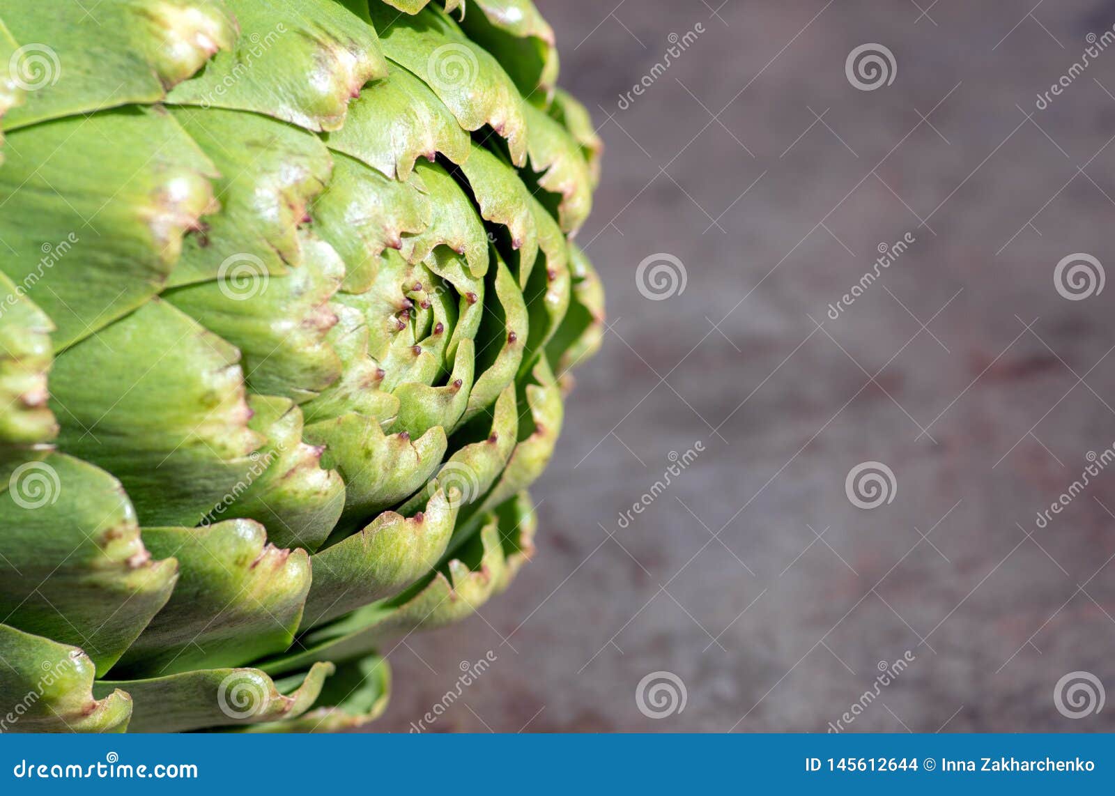 Raw artichoke. Close up stock photo. Image of pans, artichokes 145612644