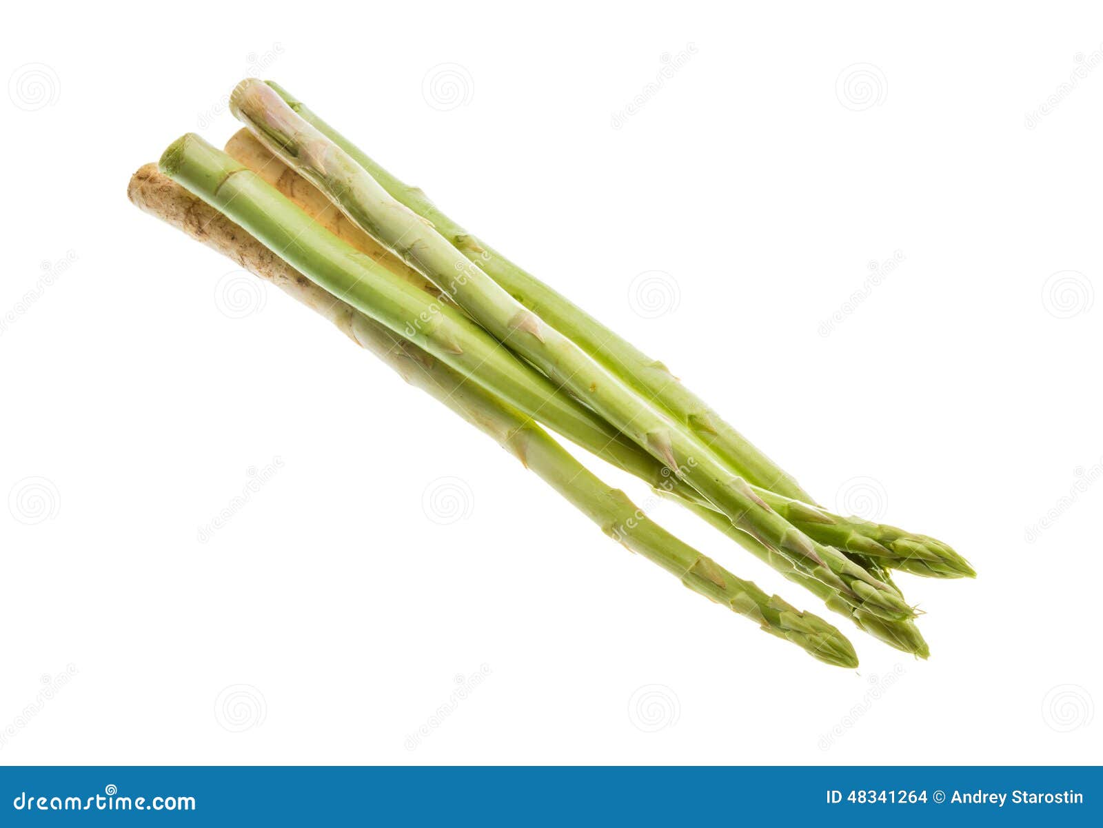 Raw asparagus stock photo. Image of gourmet, nature, cuisine 48341264