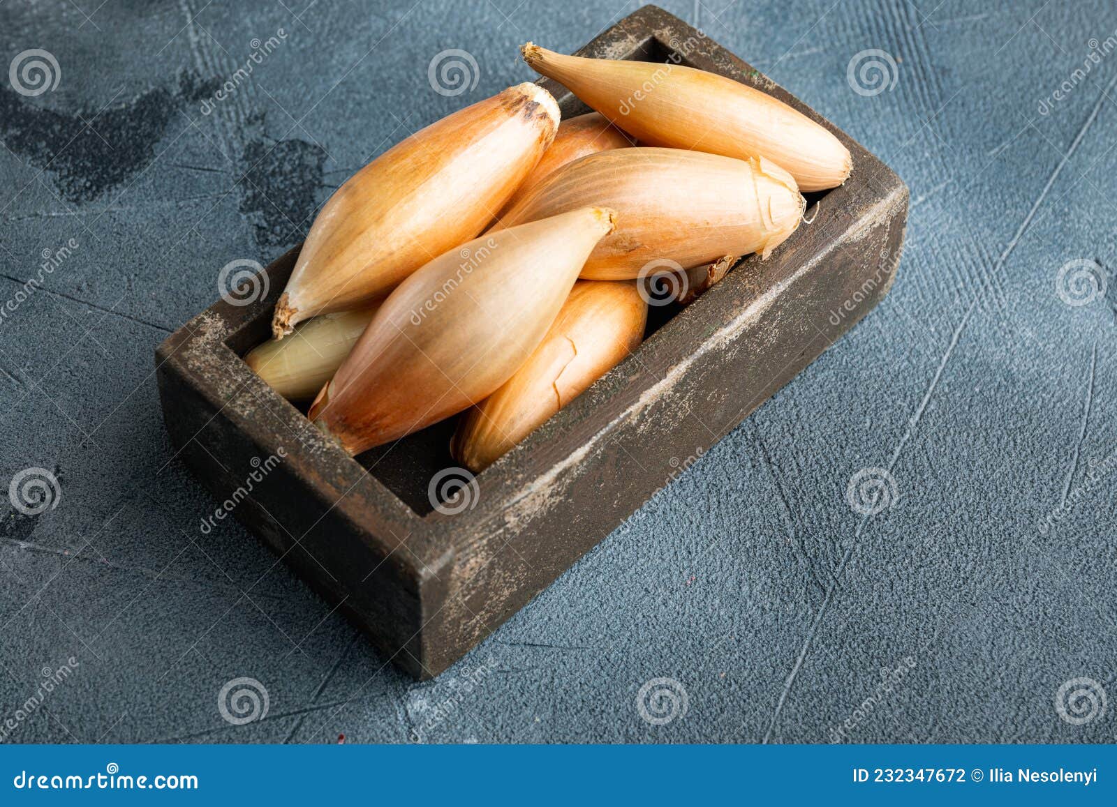 Raw Baby Shallot Onion, on Grey Background Stock Photo Image of root
