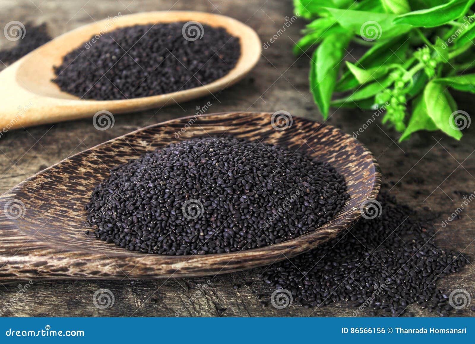 Raw Basil Seed, Herb in Thai Stock Photo Image of fiber, health 86566156