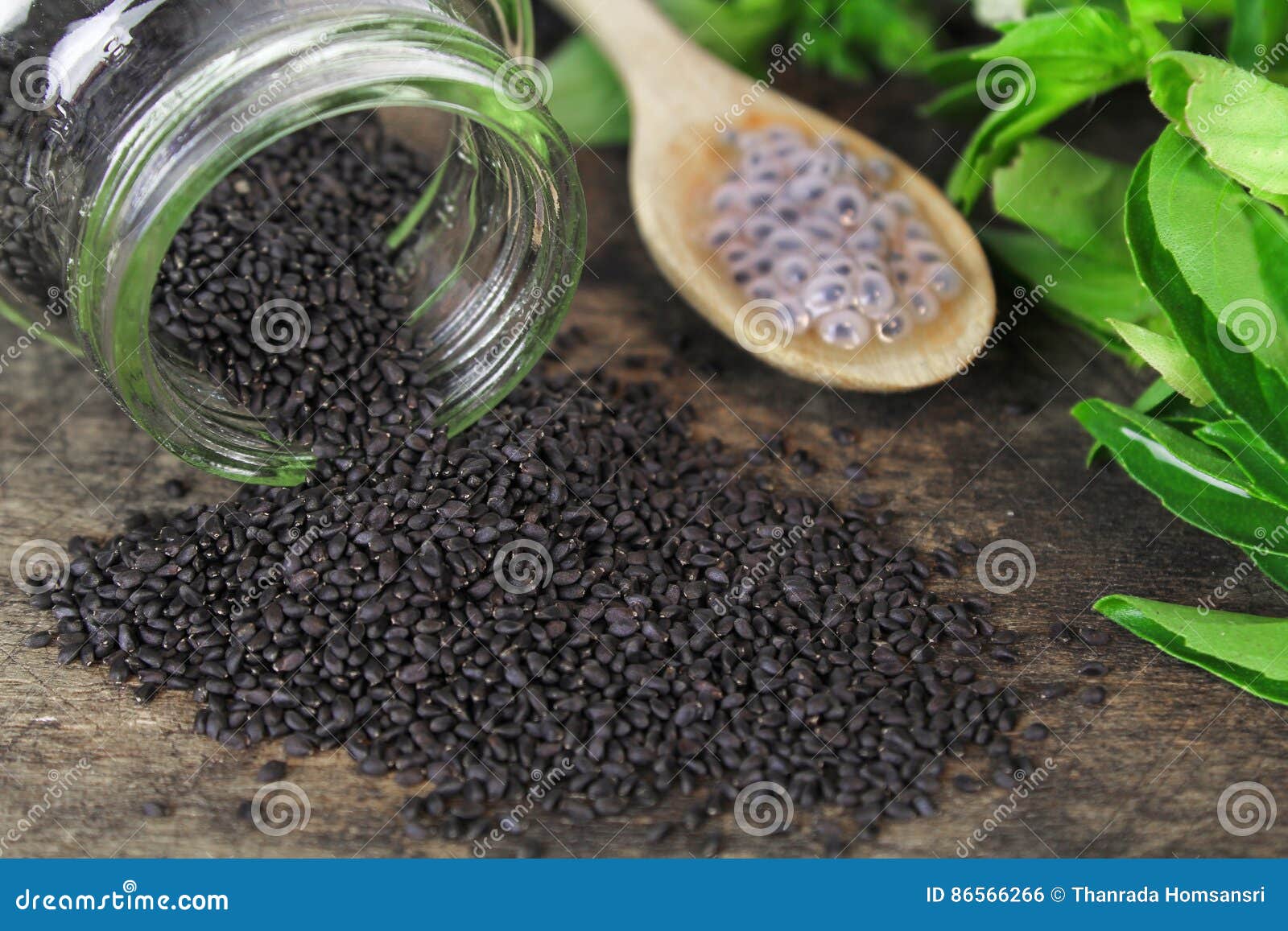 Raw Basil Seed, Herb in Thai Stock Photo Image of carotene, fiber