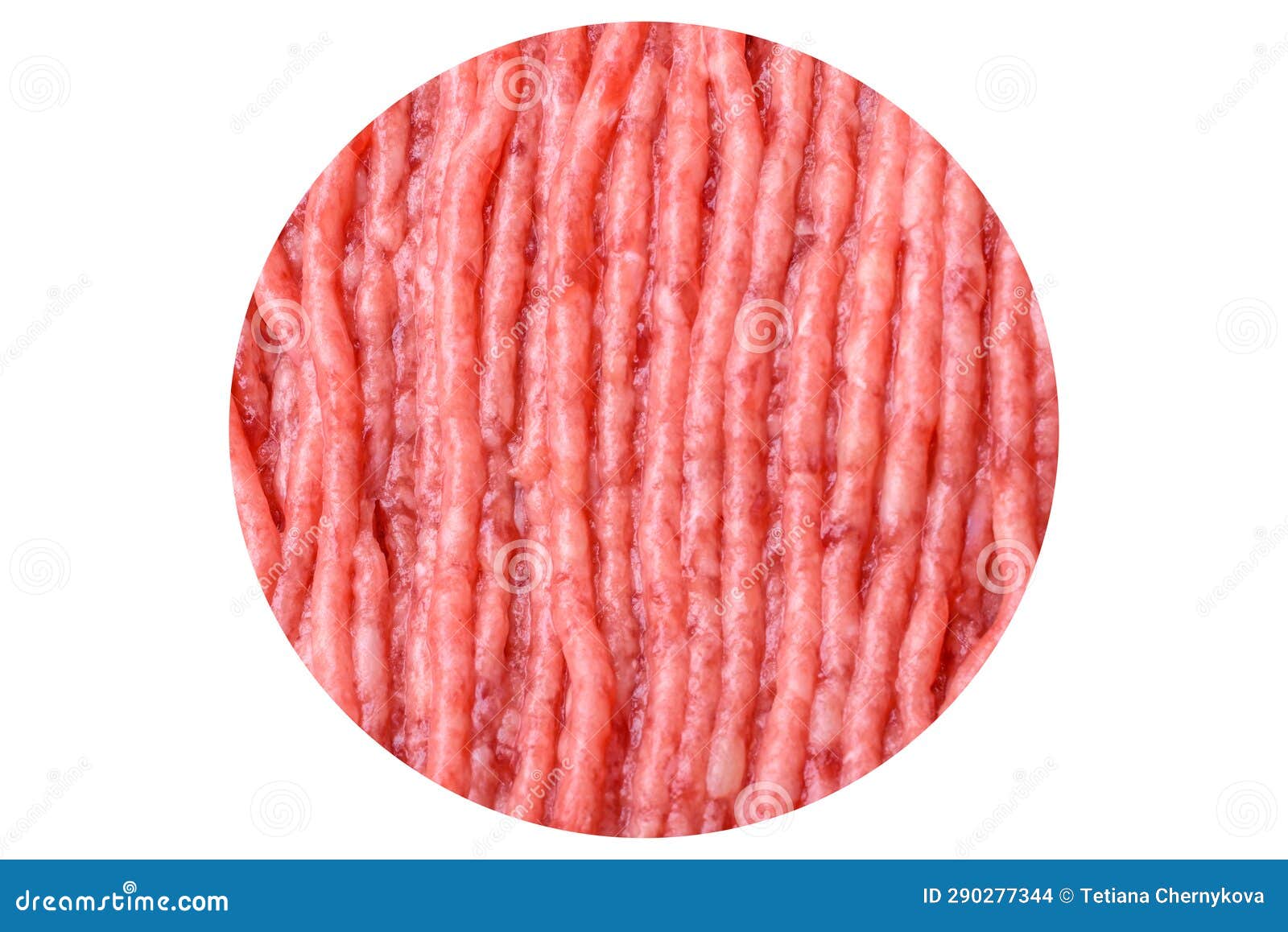 Raw Beef Or Pork Mince With Salt Spices And Herbs On A Wooden Cutting raw-beef-or-pork-mince-with-salt-spices-and-herbs-on-a-wooden-cutting