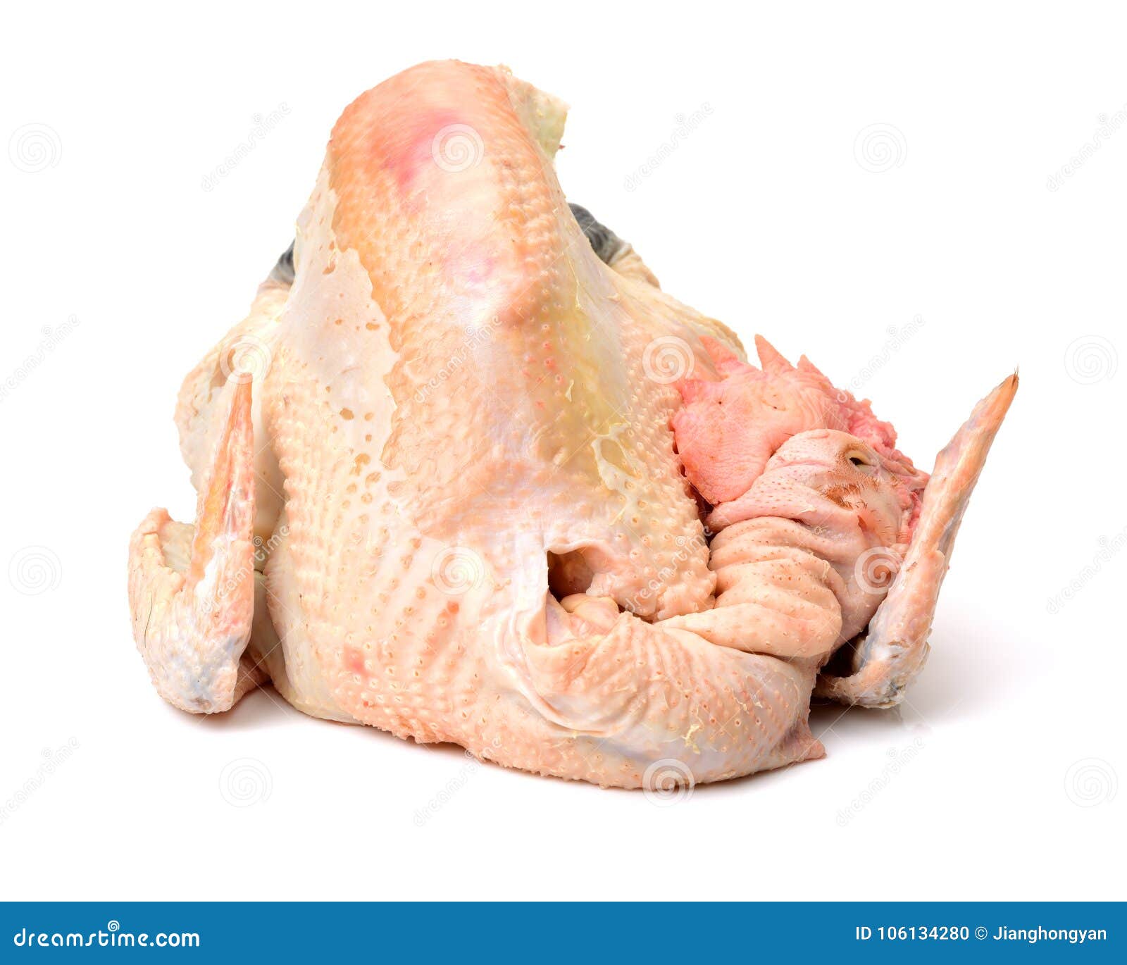 Raw black feet chicken stock photo. Image of black, claw - 106134280