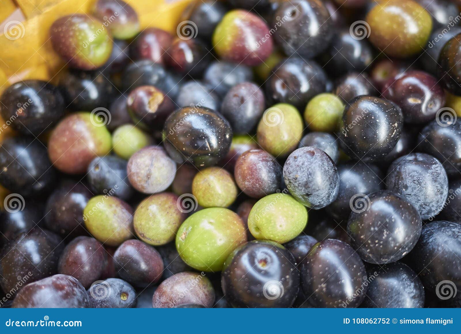 Raw black olives stock photo. Image of cuisine, olive 108062752
