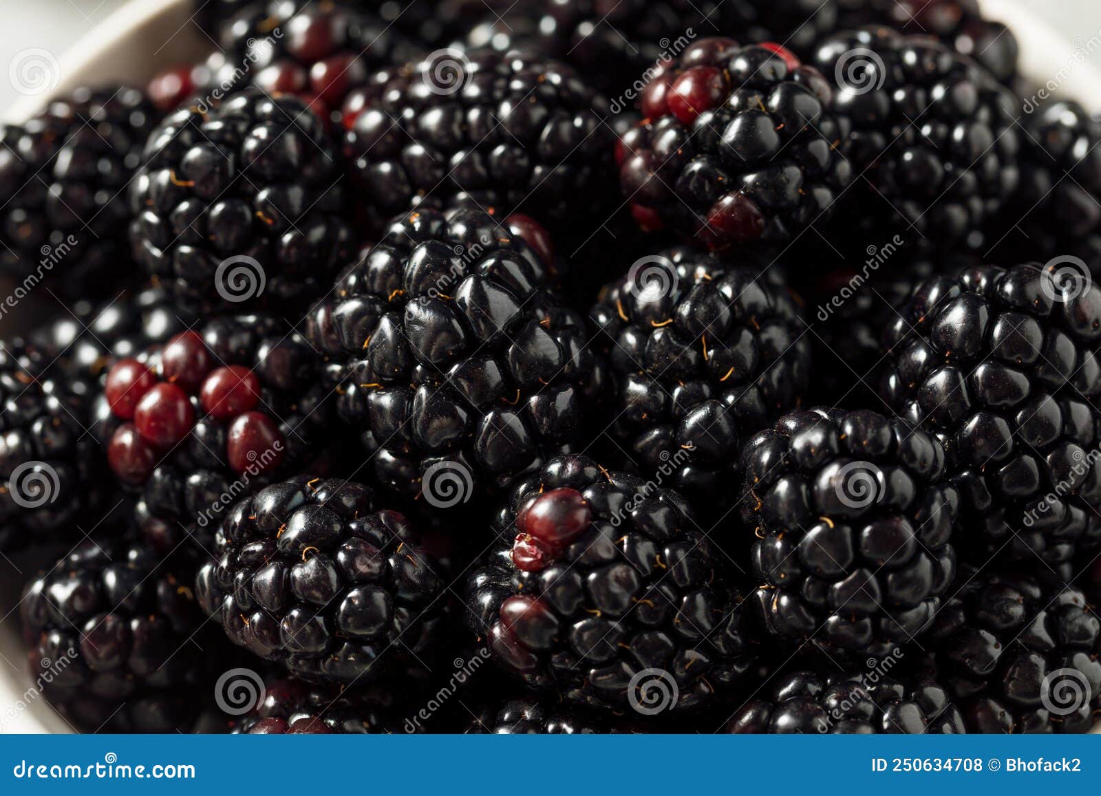 Raw Black Organic Blackberries Stock Photo Image of bramble, food