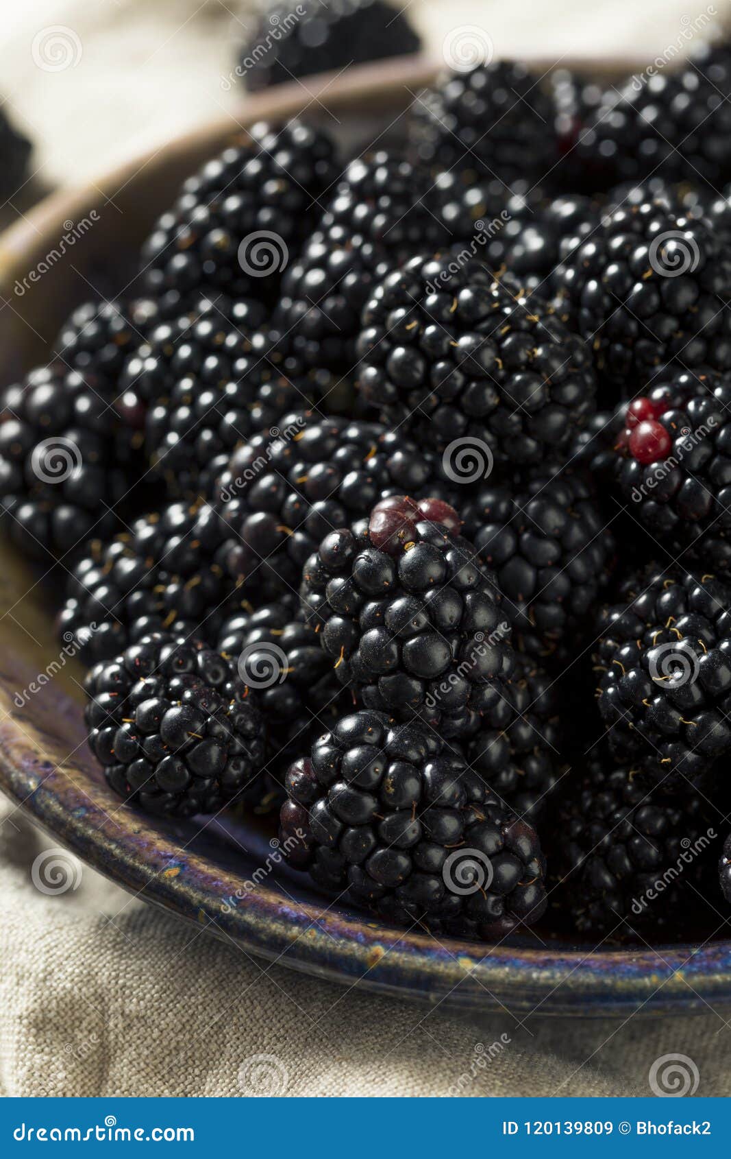 Raw Black Organic Blackberries Stock Image - Image of ingredient, group ...