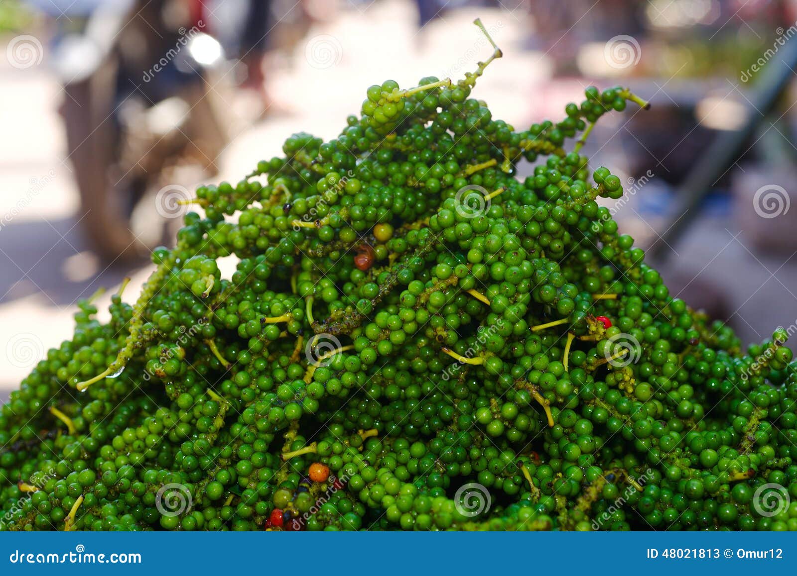 Raw black pepper stock image. Image of tree, eating, natural 48021813