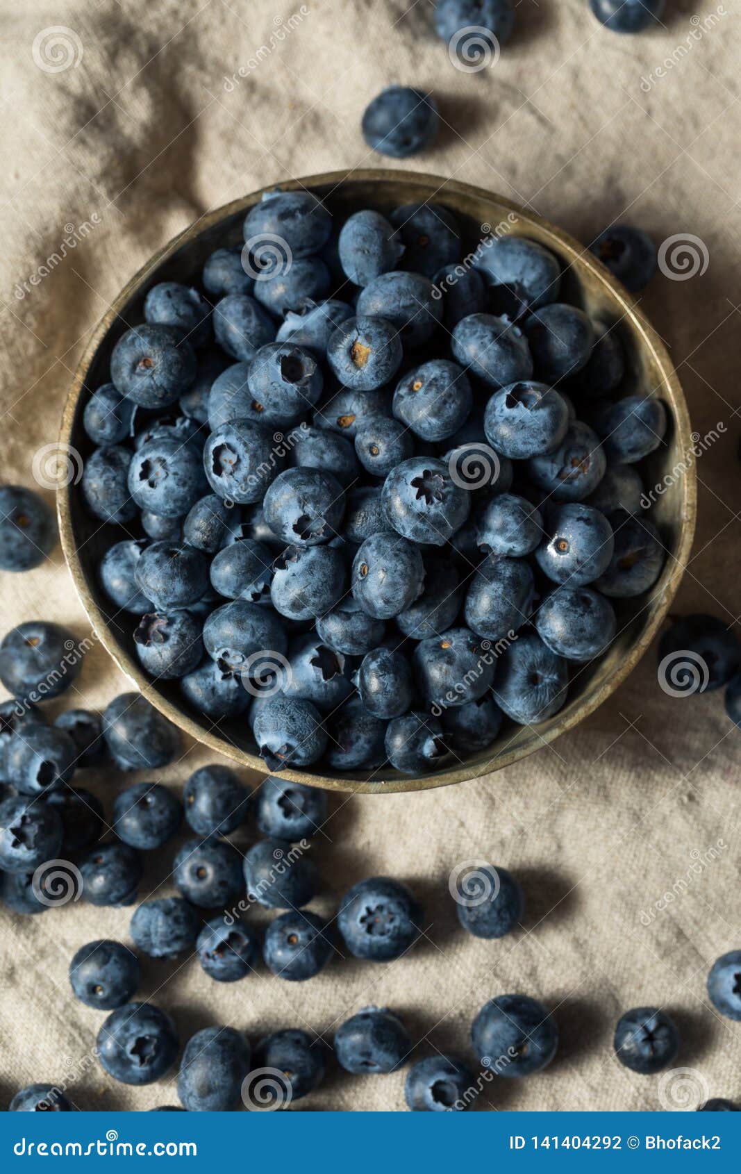 Raw Blue Organic Blueberries Stock Photo Image of blueberries, nature