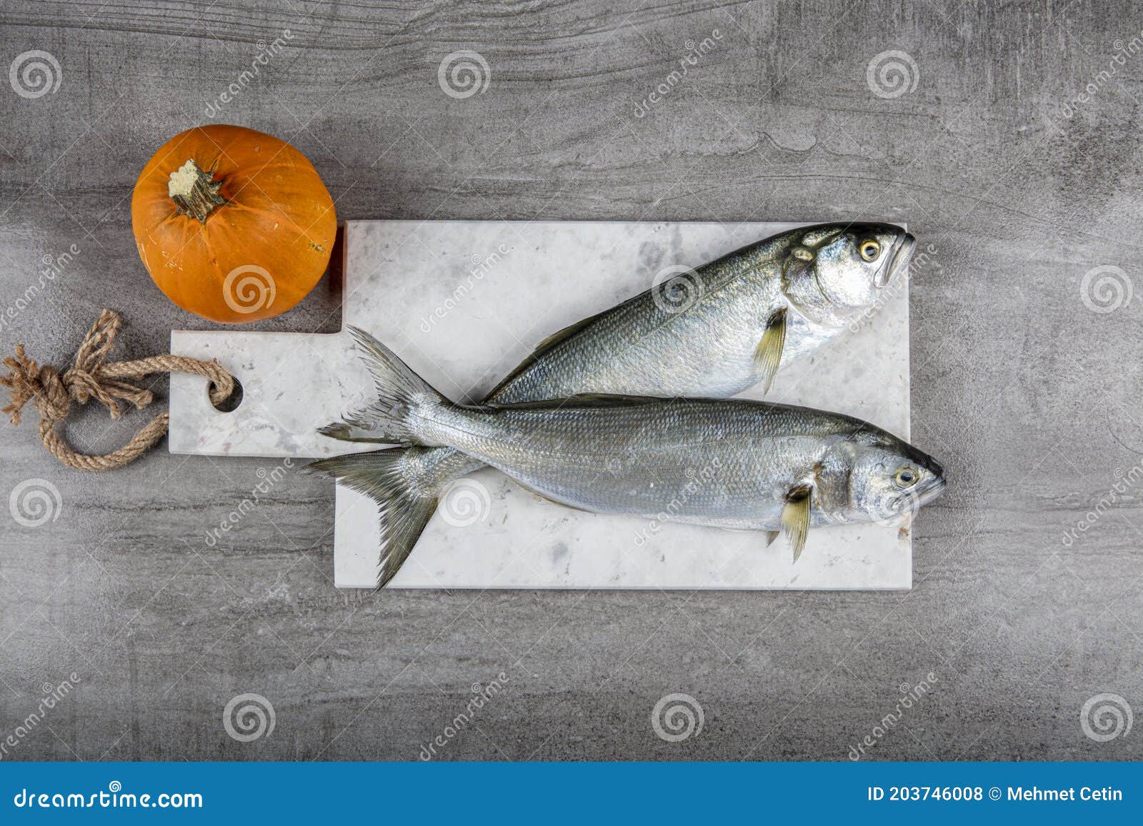 raw bluefish. latin; pomatomus saltatrix. fresh fish with the vegetables, condiment and lemon, bluefish. food preparation