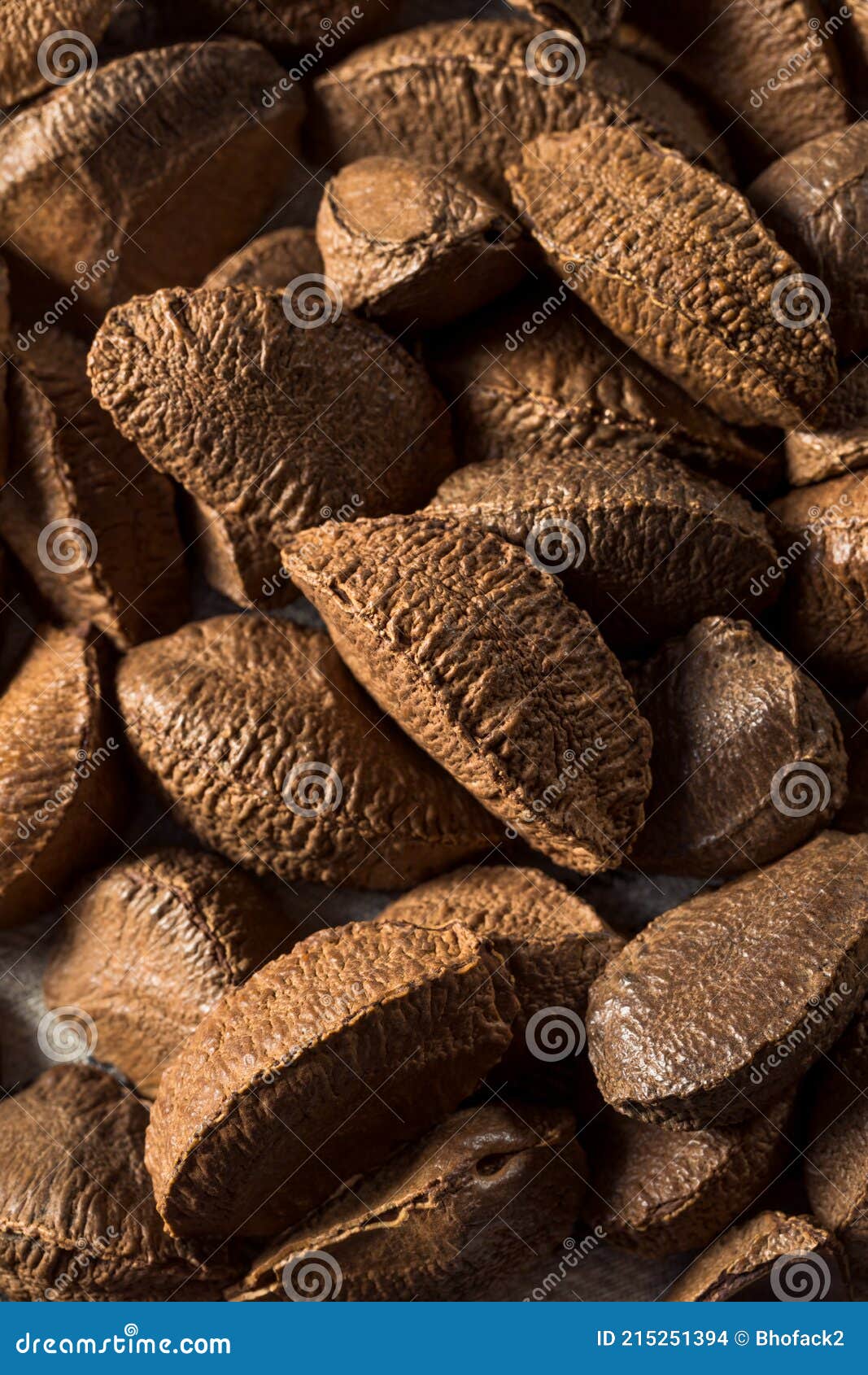 Raw Brown Organic Brazil Nuts Stock Photo - Image of tasty, fresh