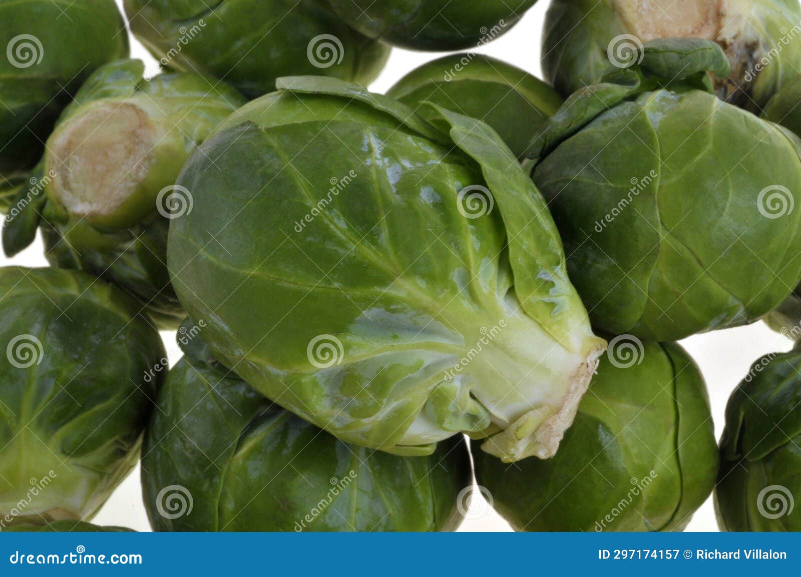 Brussels Sprouts Uncooked Closeup on Background Stock Image Image of