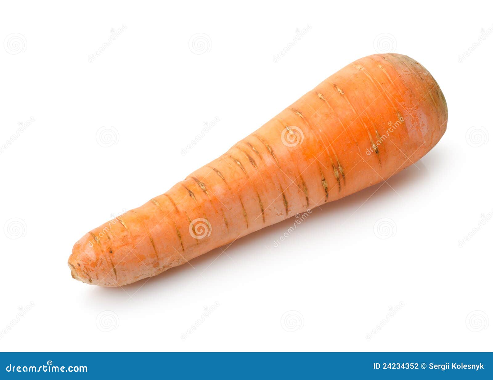 Raw carrot stock photo. Image of vegetable, nature, color 24234352