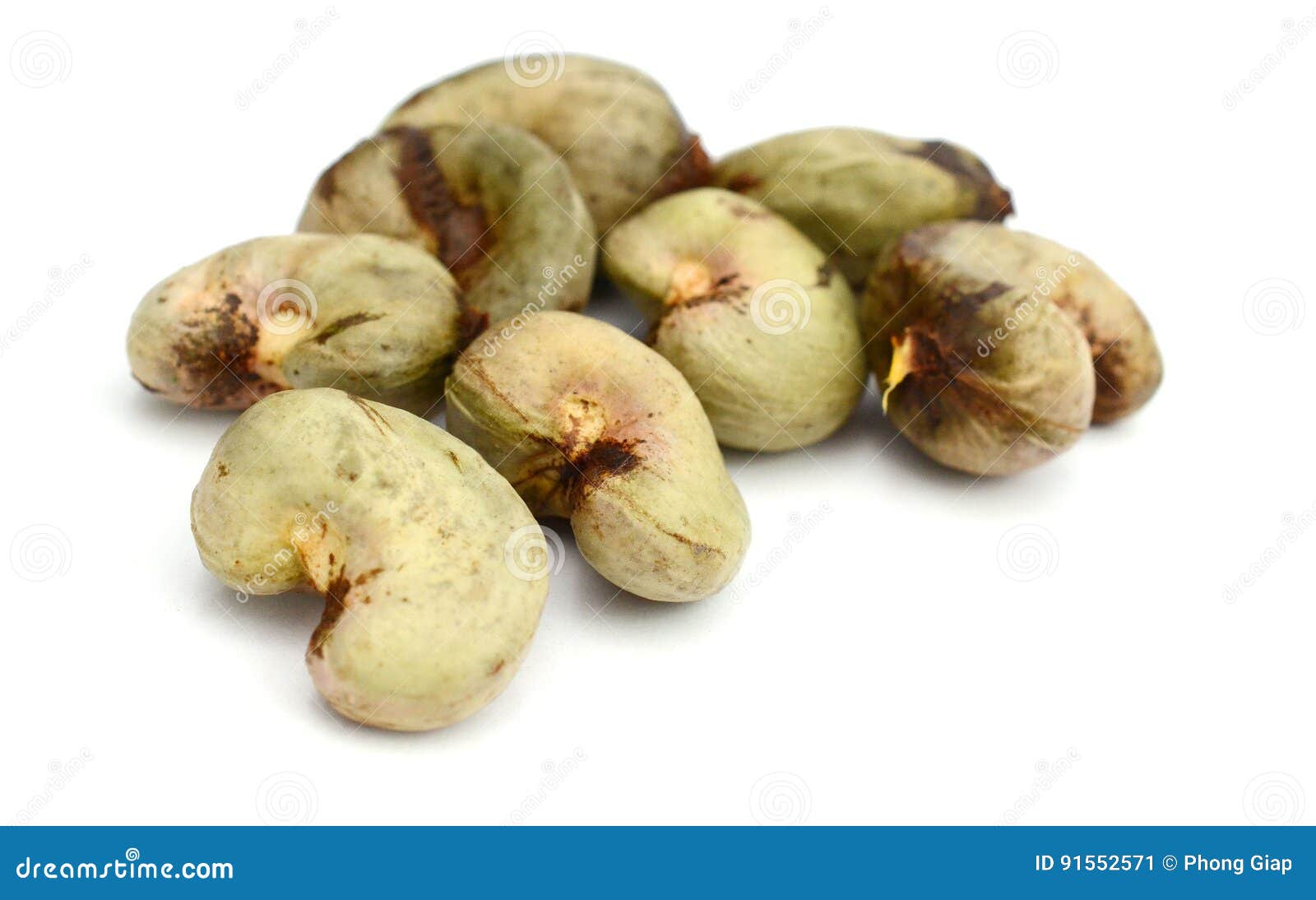 Raw cashew nuts stock image. Image of common, nutrition 91552571