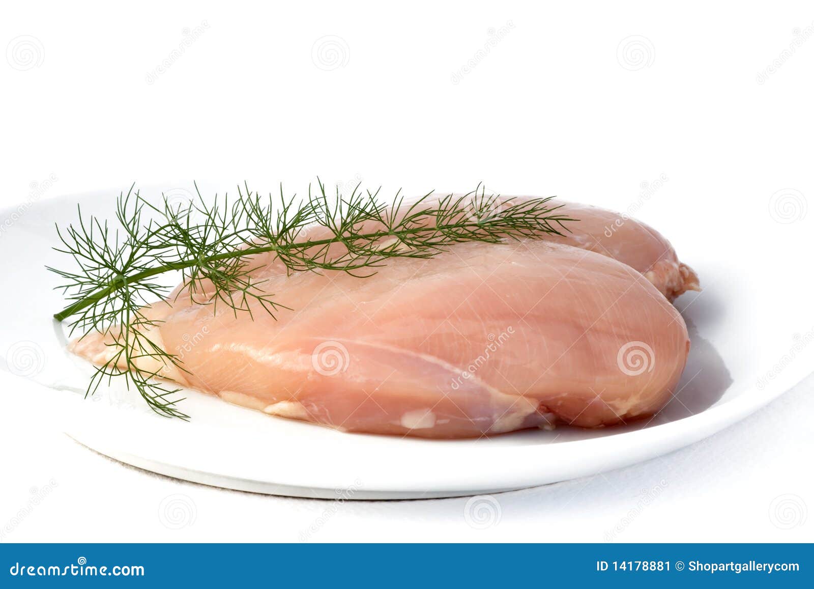 Raw Chicken Breast and Wild Fennel Stock Image Image of prepare, food