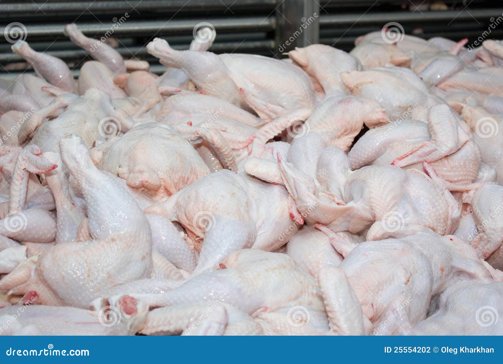Raw chicken broilers stock photo. Image of nutrition 25554202