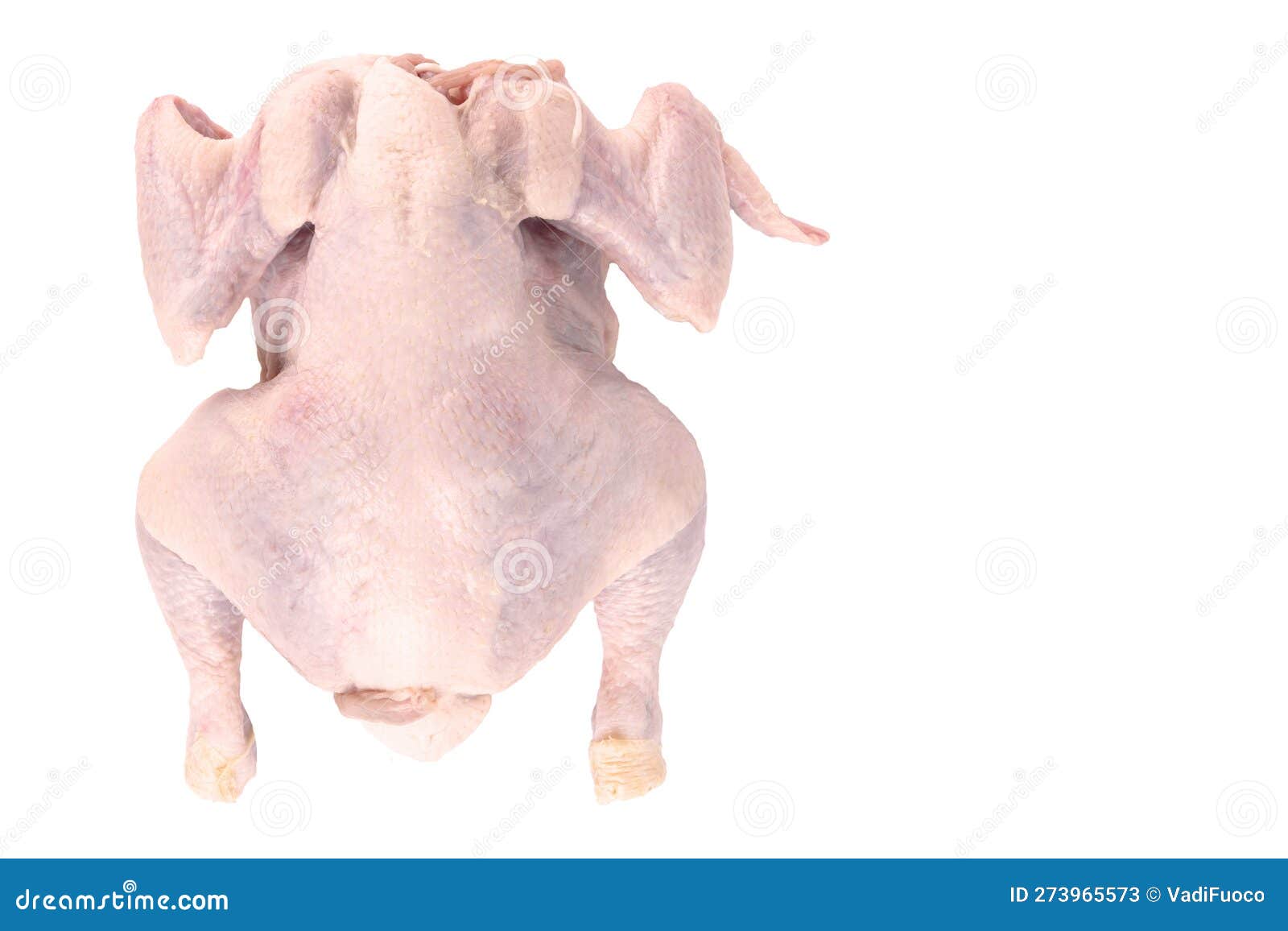 Raw Chicken Carcass. White Isolated Background Stock Image Image of