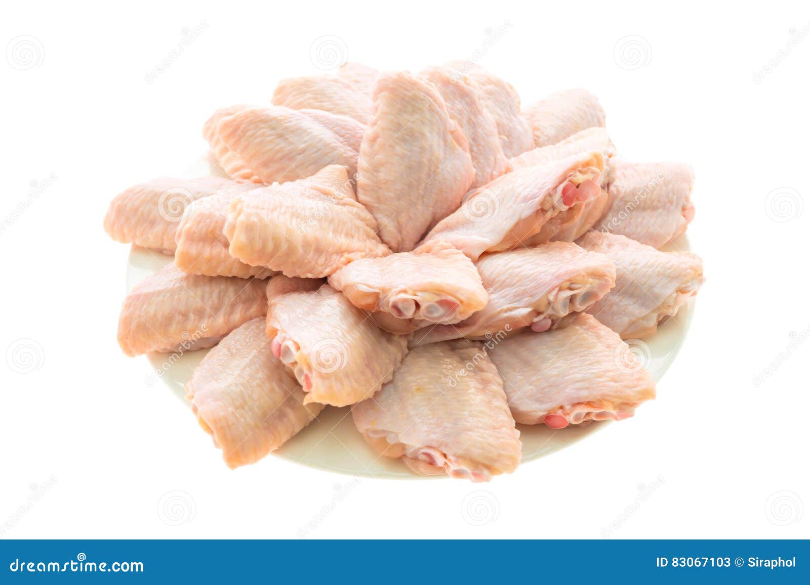 Raw Chicken Meat and Wing in White Plate Stock Image Image of wing