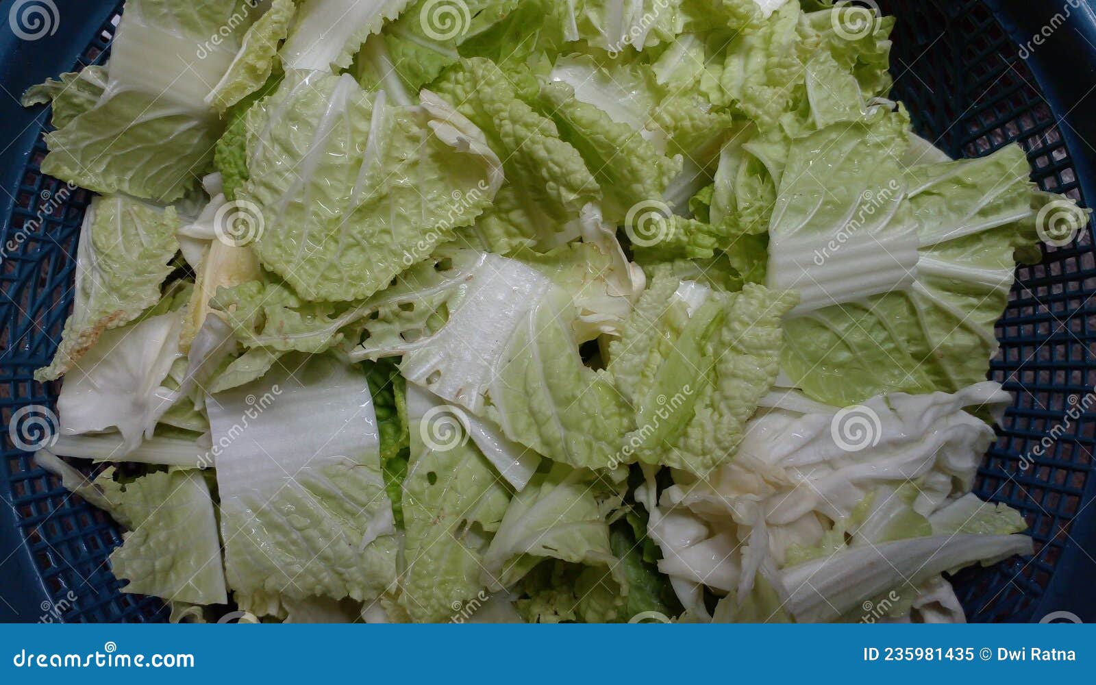cut my life into pieces cut my life into pieces