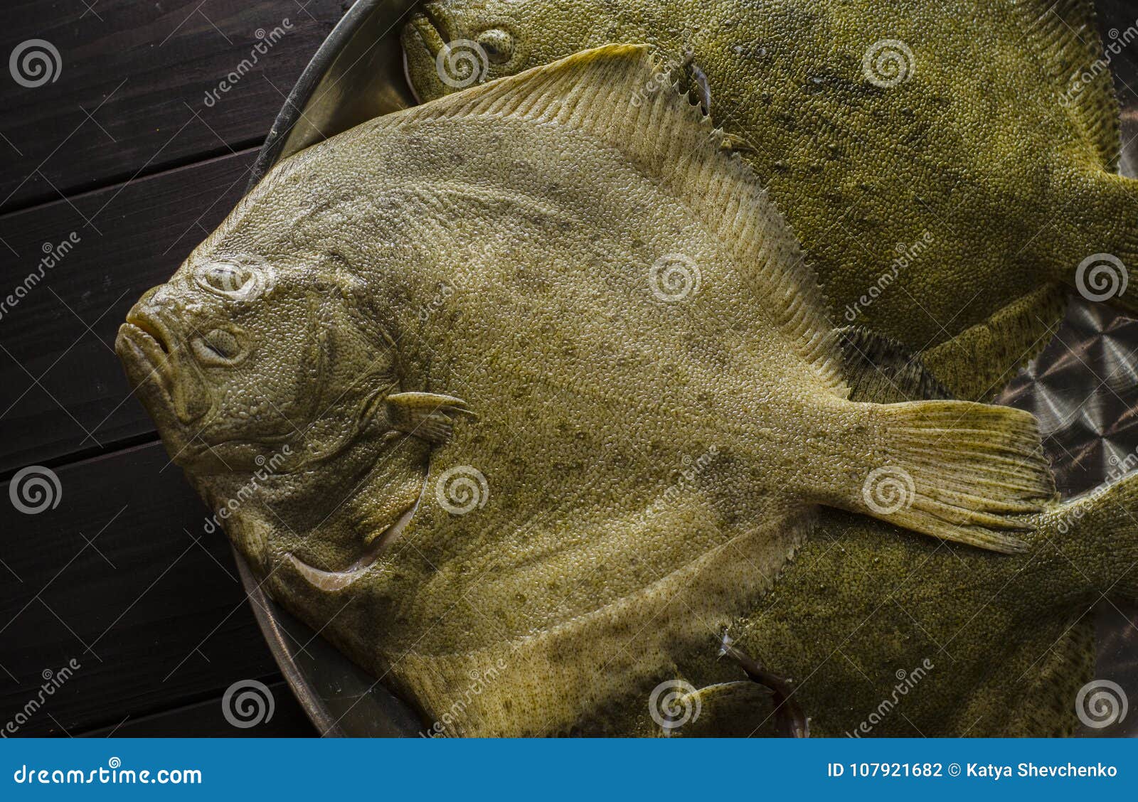 Raw flounder fish stock photo. Image of skin, full, color 107921682