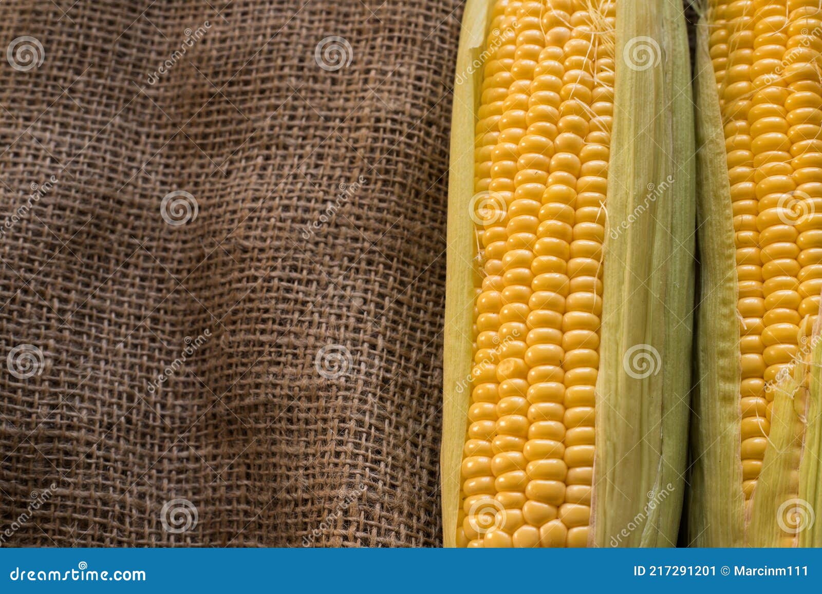 Raw corn. food ingredient stock image. Image of corncob 217291201