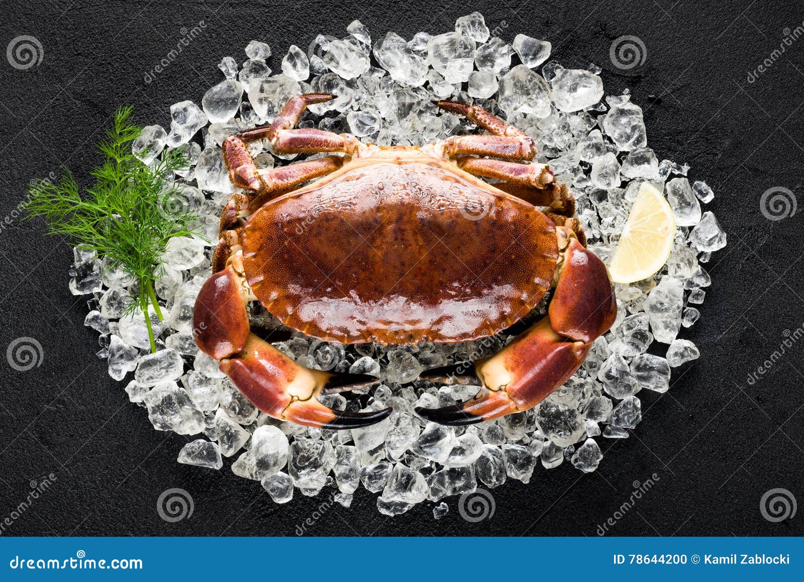 Raw Crab on Ice on a Black Stone Table Stock Photo Image of catch