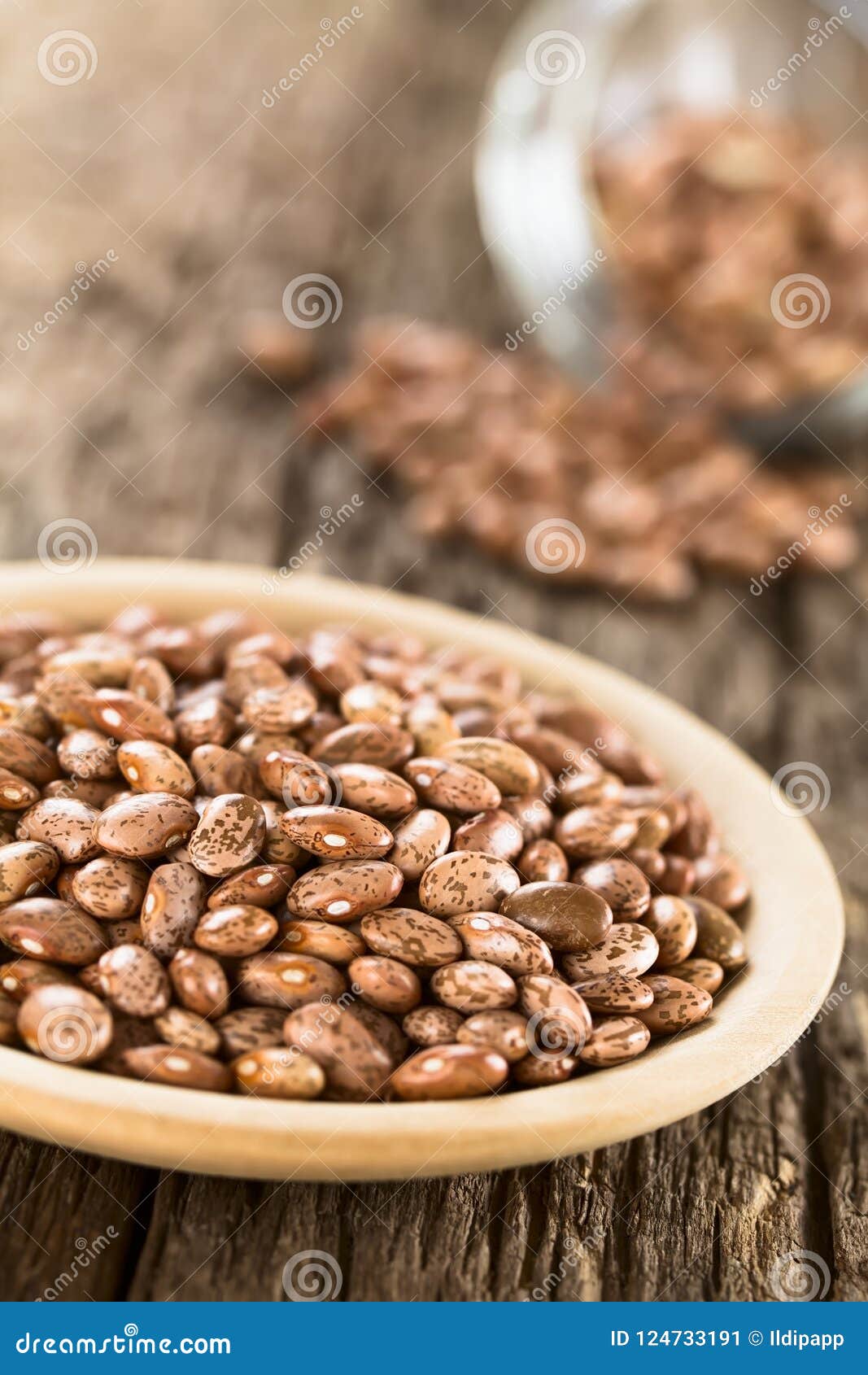 Raw Dried Pinto Beans stock image. Image of dried, pinto 124733191