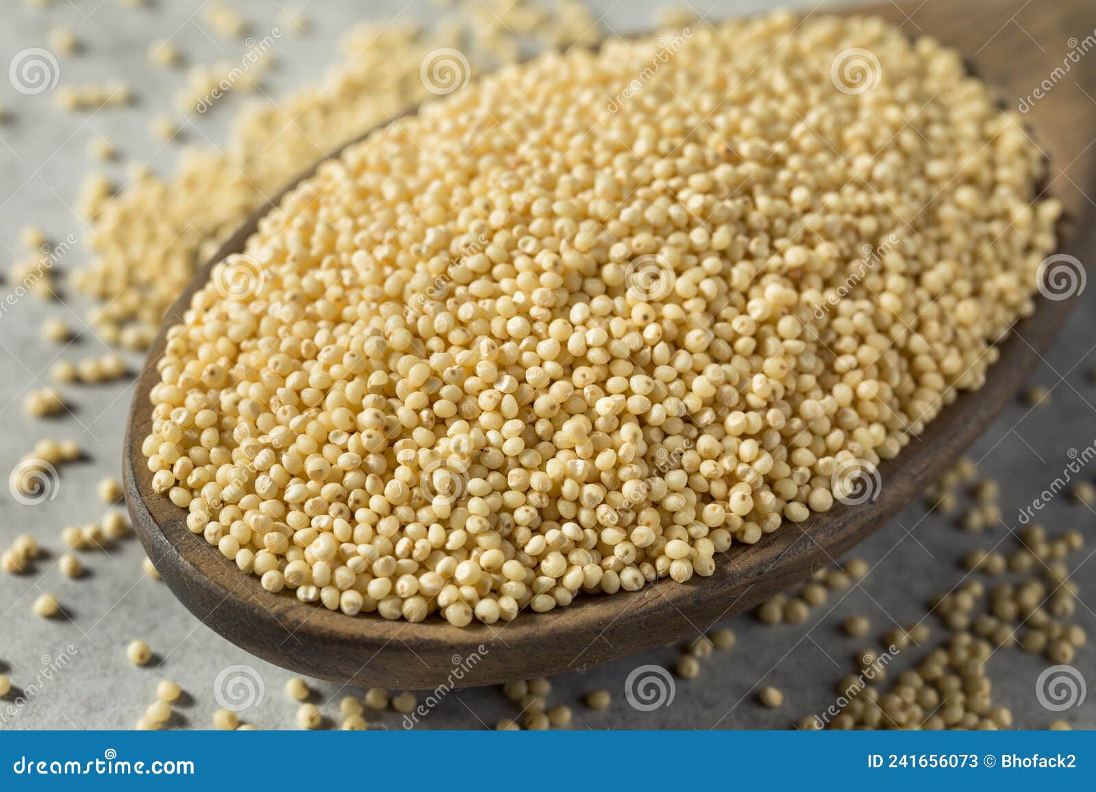 Raw Dry Organic Millet Grain Stock Image Image of cereal, grain